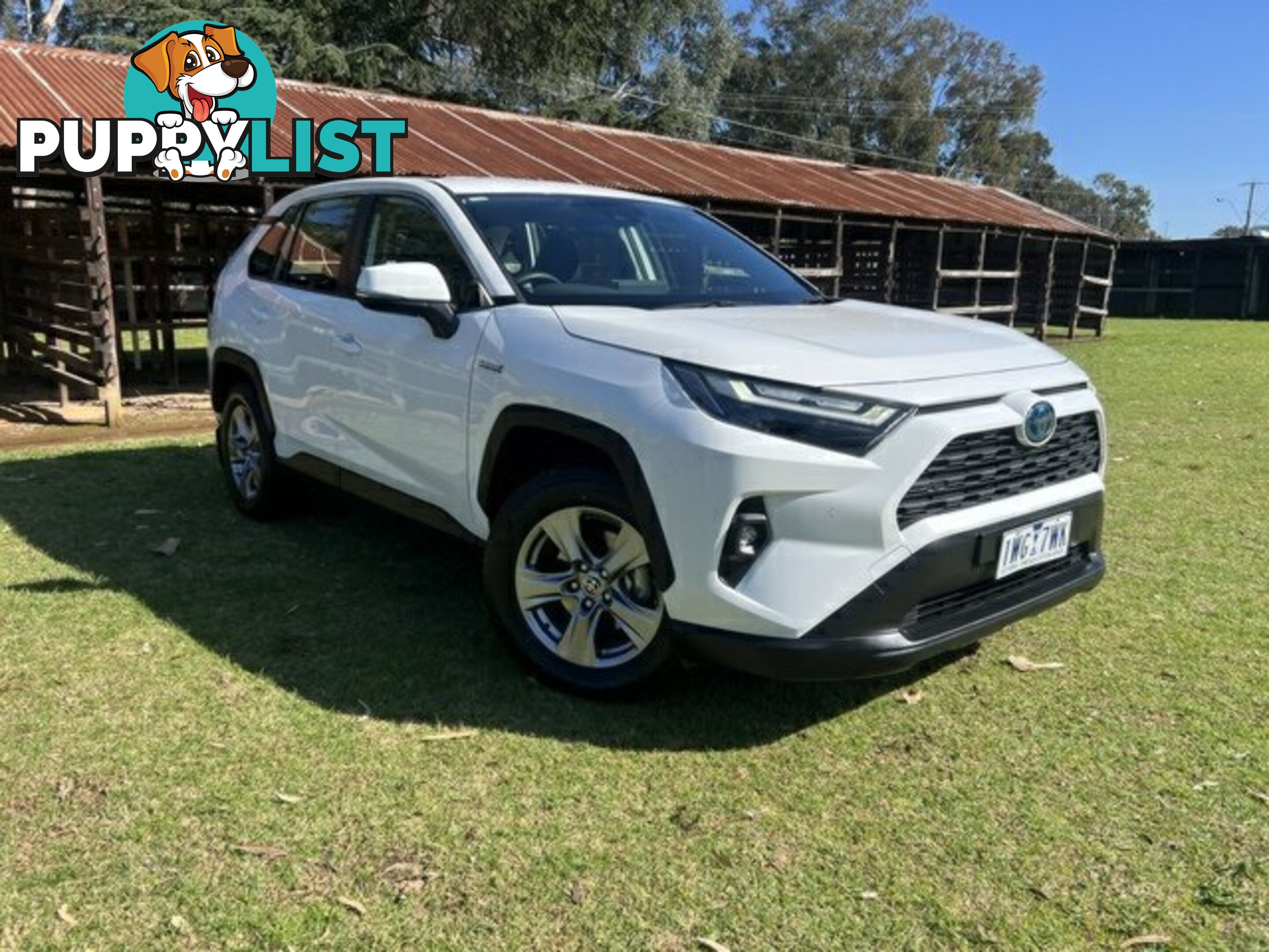 2022 TOYOTA RAV4   WAGON