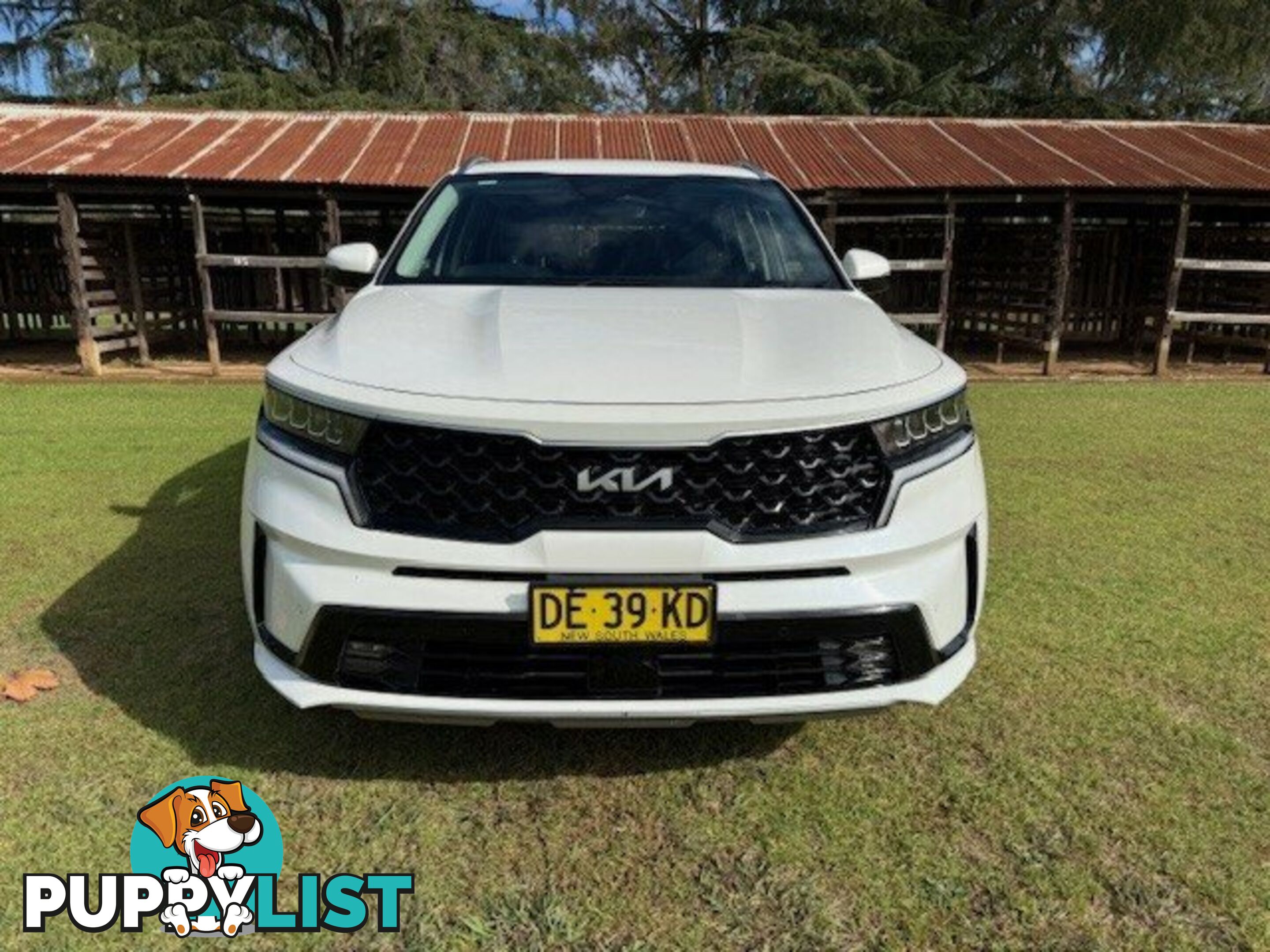 2022 KIA SORENTO MQ4 MY22 SPORT 7 SEAT WAGON