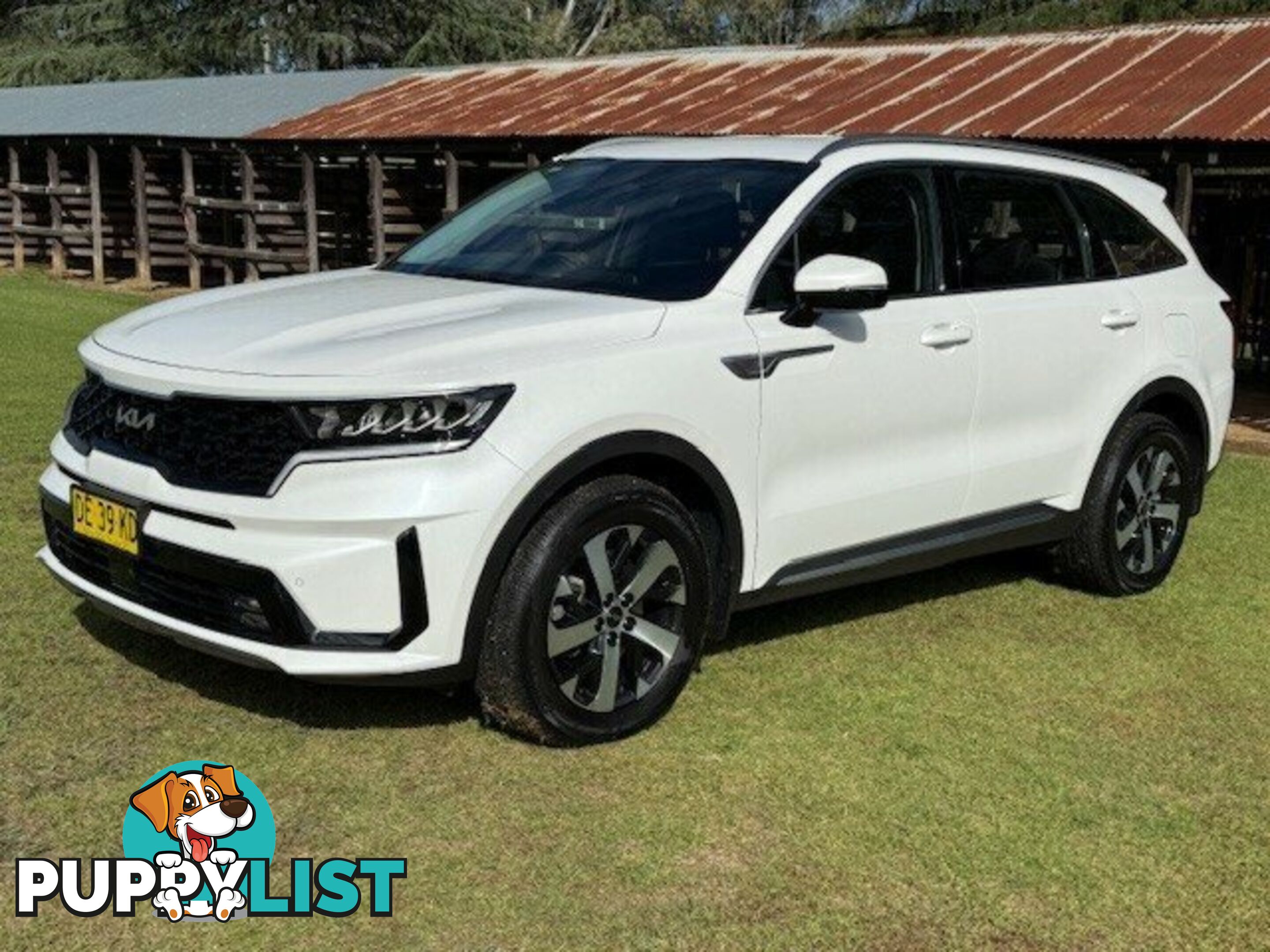 2022 KIA SORENTO MQ4 MY22 SPORT 7 SEAT WAGON