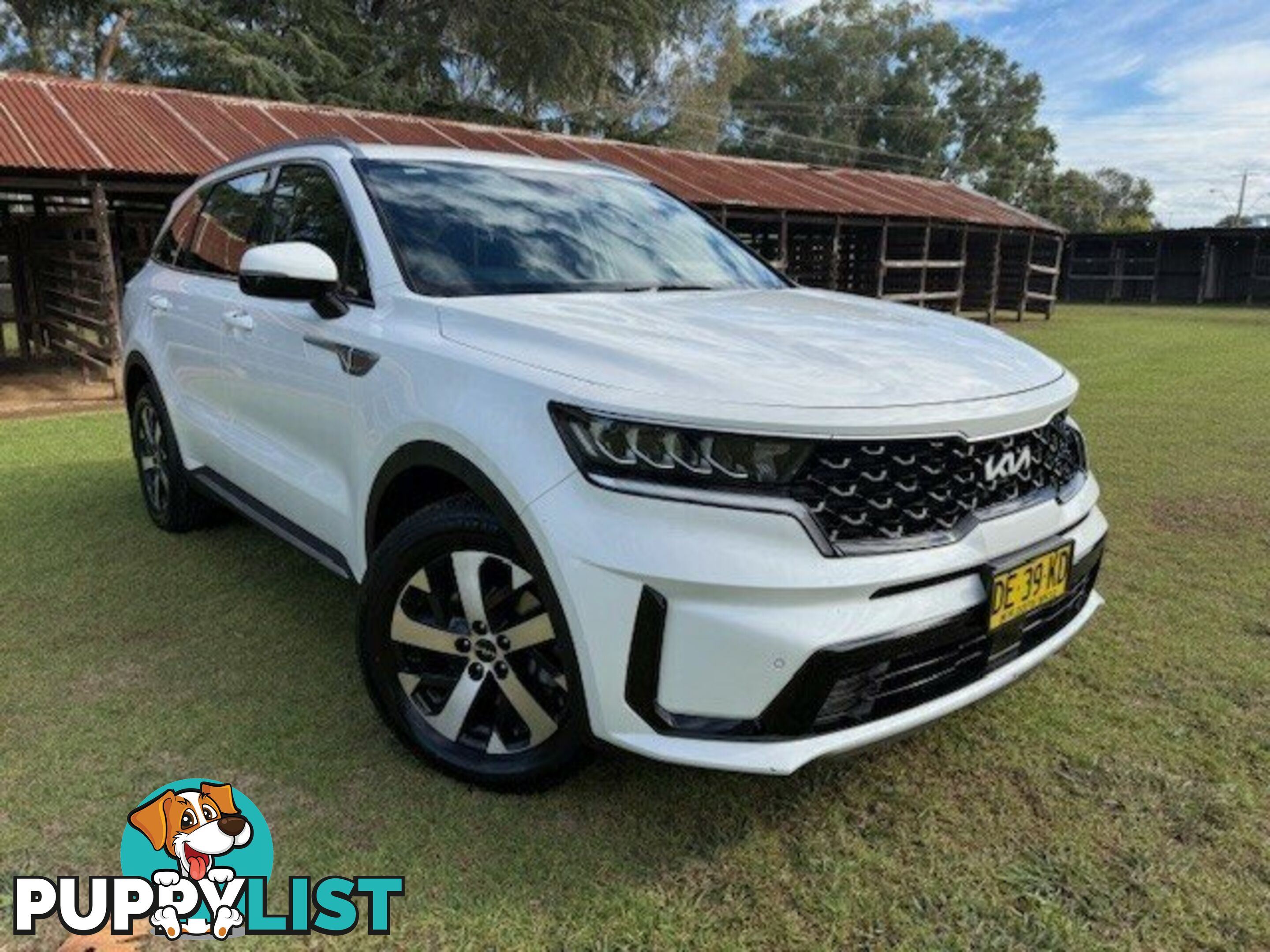 2022 KIA SORENTO MQ4 MY22 SPORT 7 SEAT WAGON