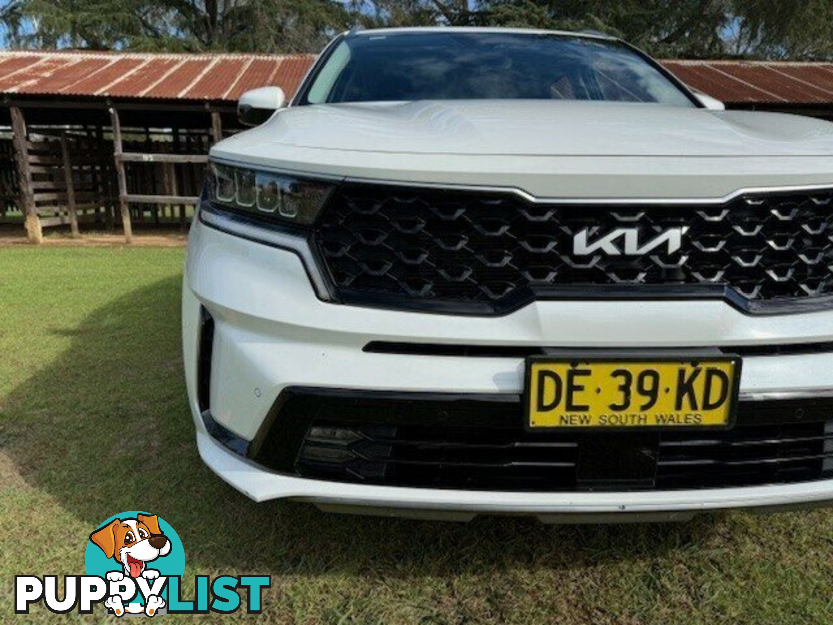 2022 KIA SORENTO MQ4 MY22 SPORT 7 SEAT WAGON