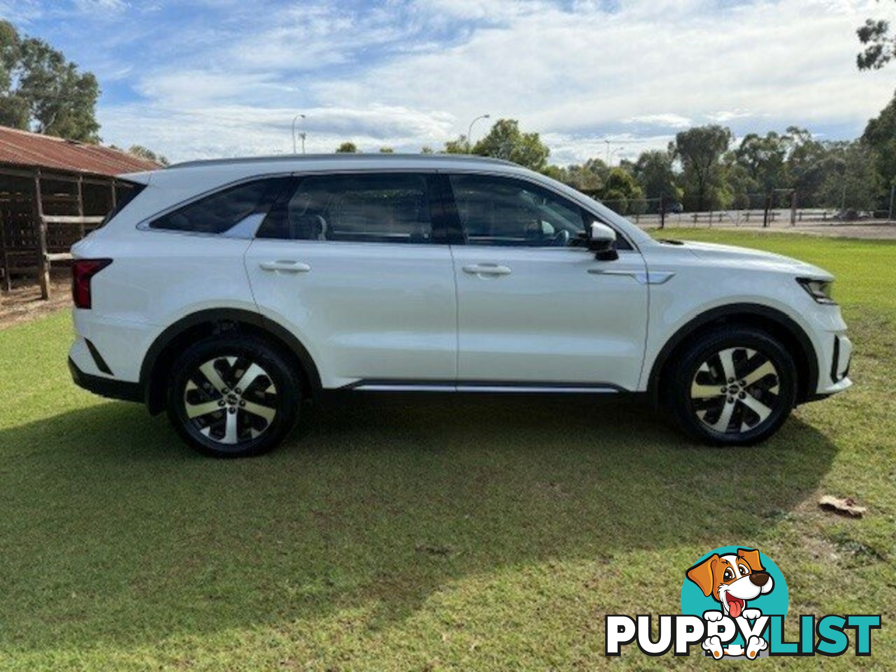 2022 KIA SORENTO MQ4 MY22 SPORT 7 SEAT WAGON