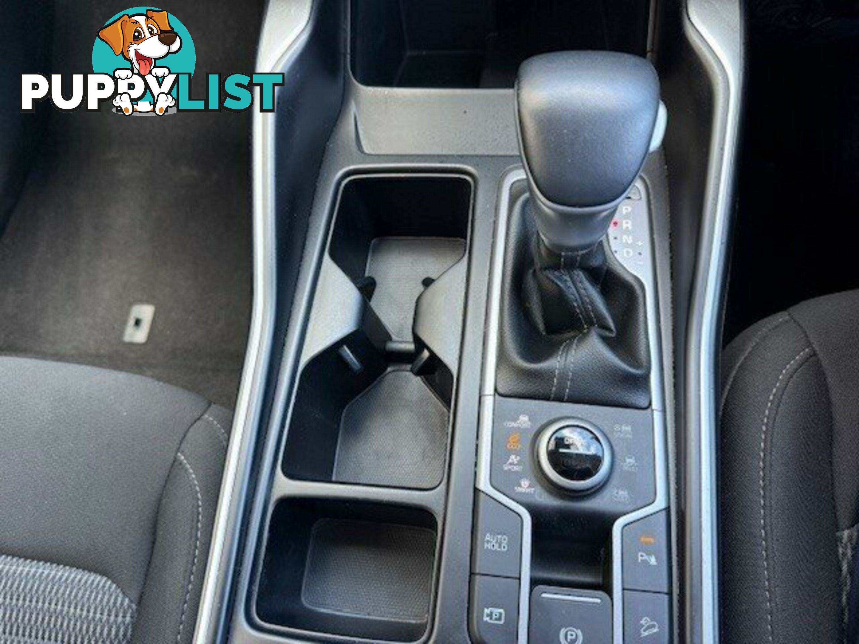 2022 KIA SORENTO MQ4 MY22 SPORT 7 SEAT WAGON