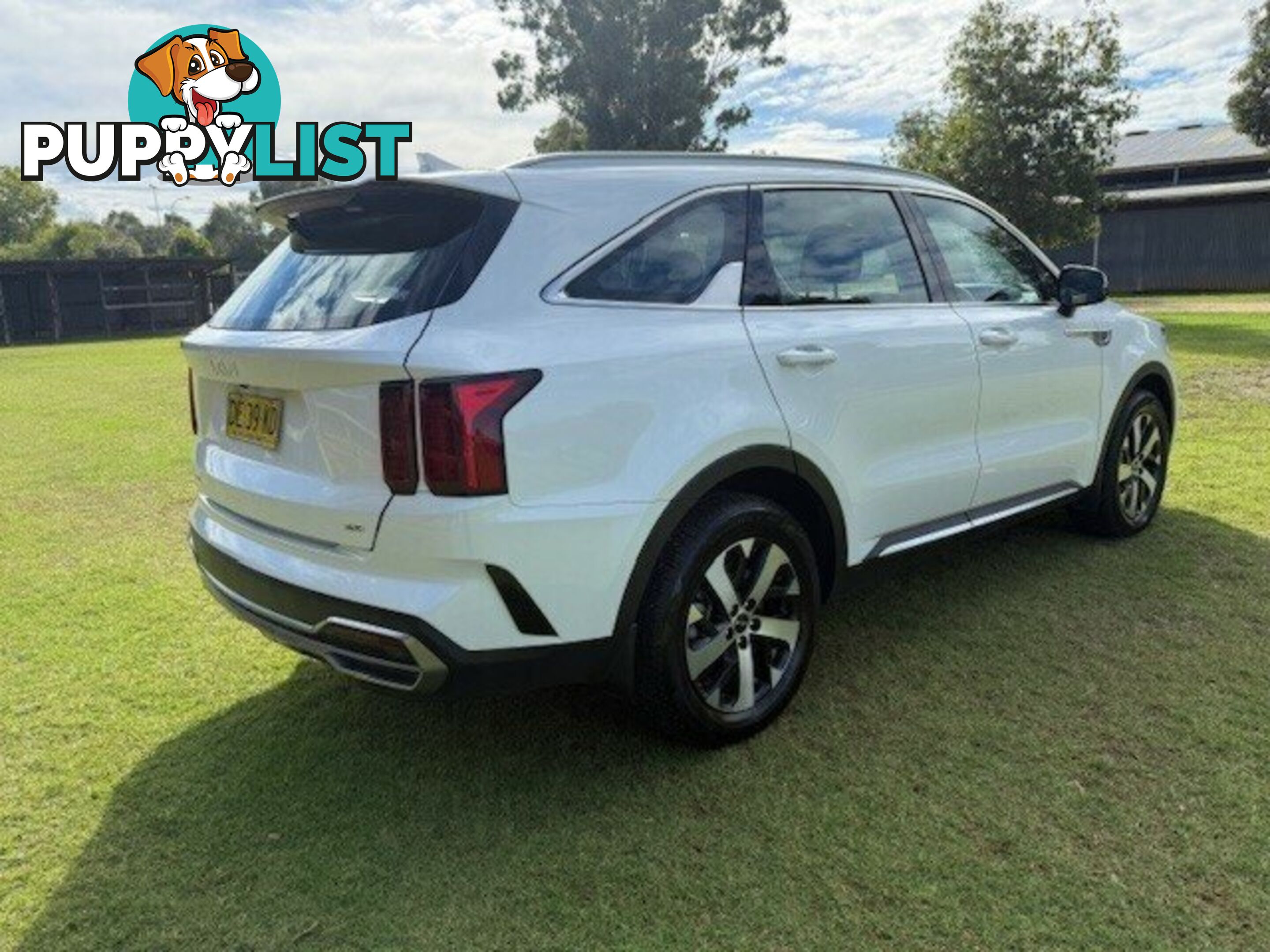 2022 KIA SORENTO MQ4 MY22 SPORT 7 SEAT WAGON