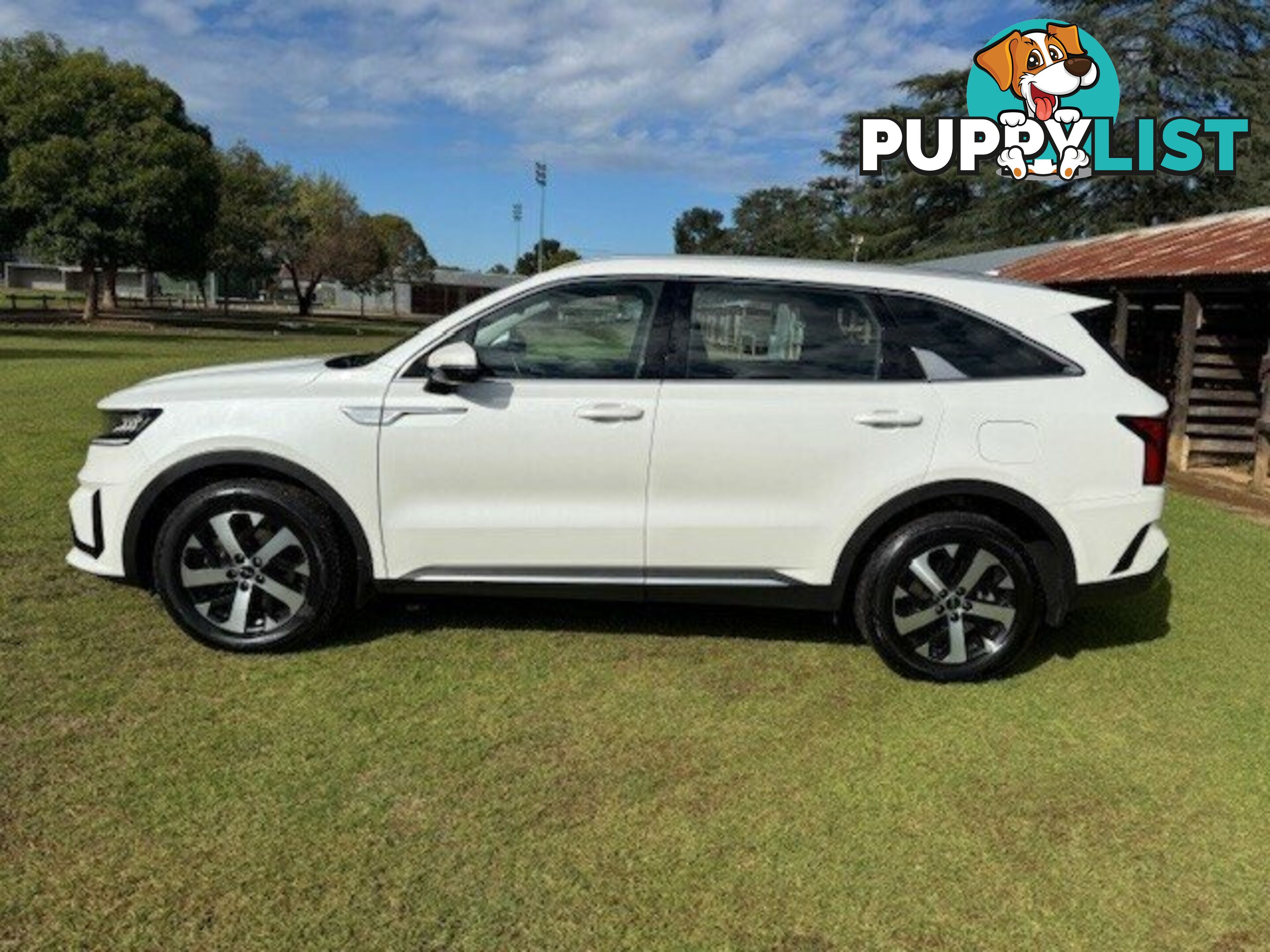 2022 KIA SORENTO MQ4 MY22 SPORT 7 SEAT WAGON