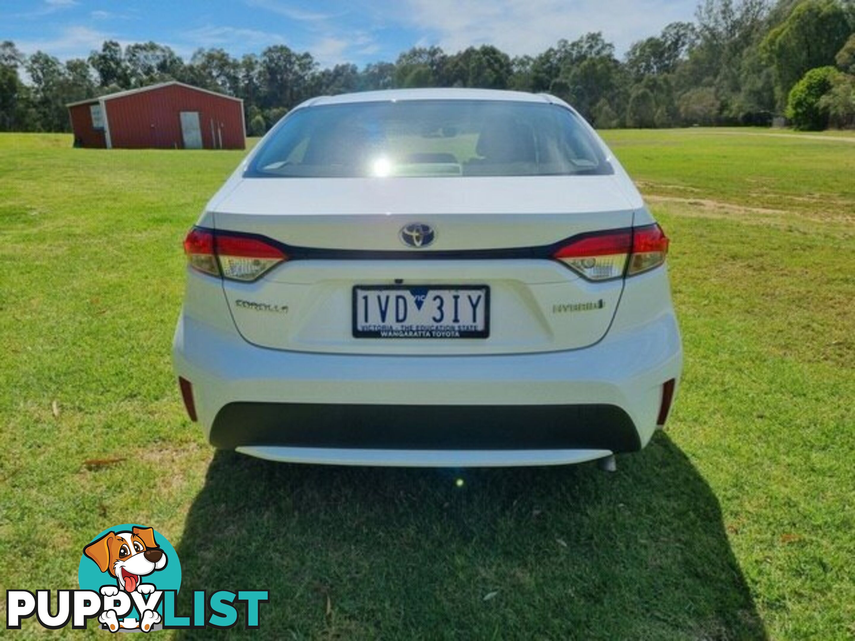 2021 TOYOTA COROLLA   SEDAN