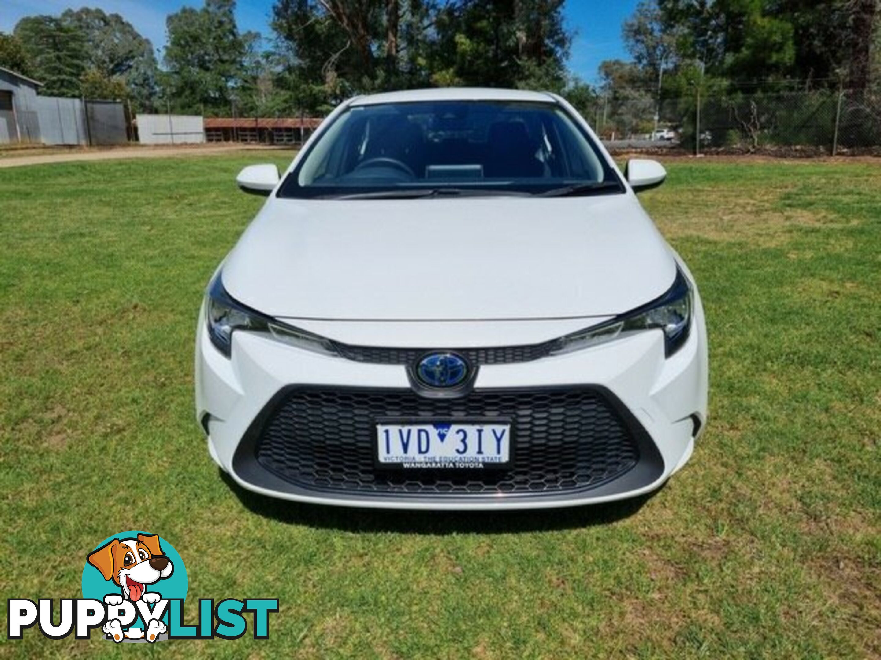 2021 TOYOTA COROLLA   SEDAN