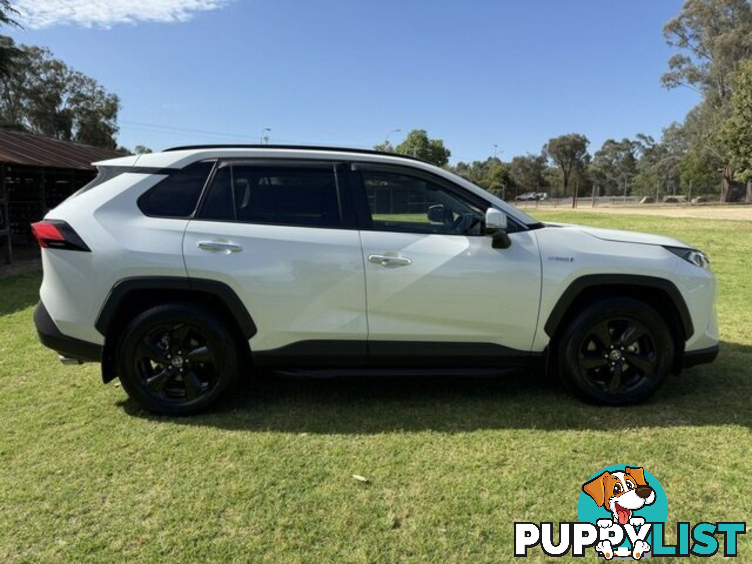 2021 TOYOTA RAV4  CRUISER HYBRID WAGON