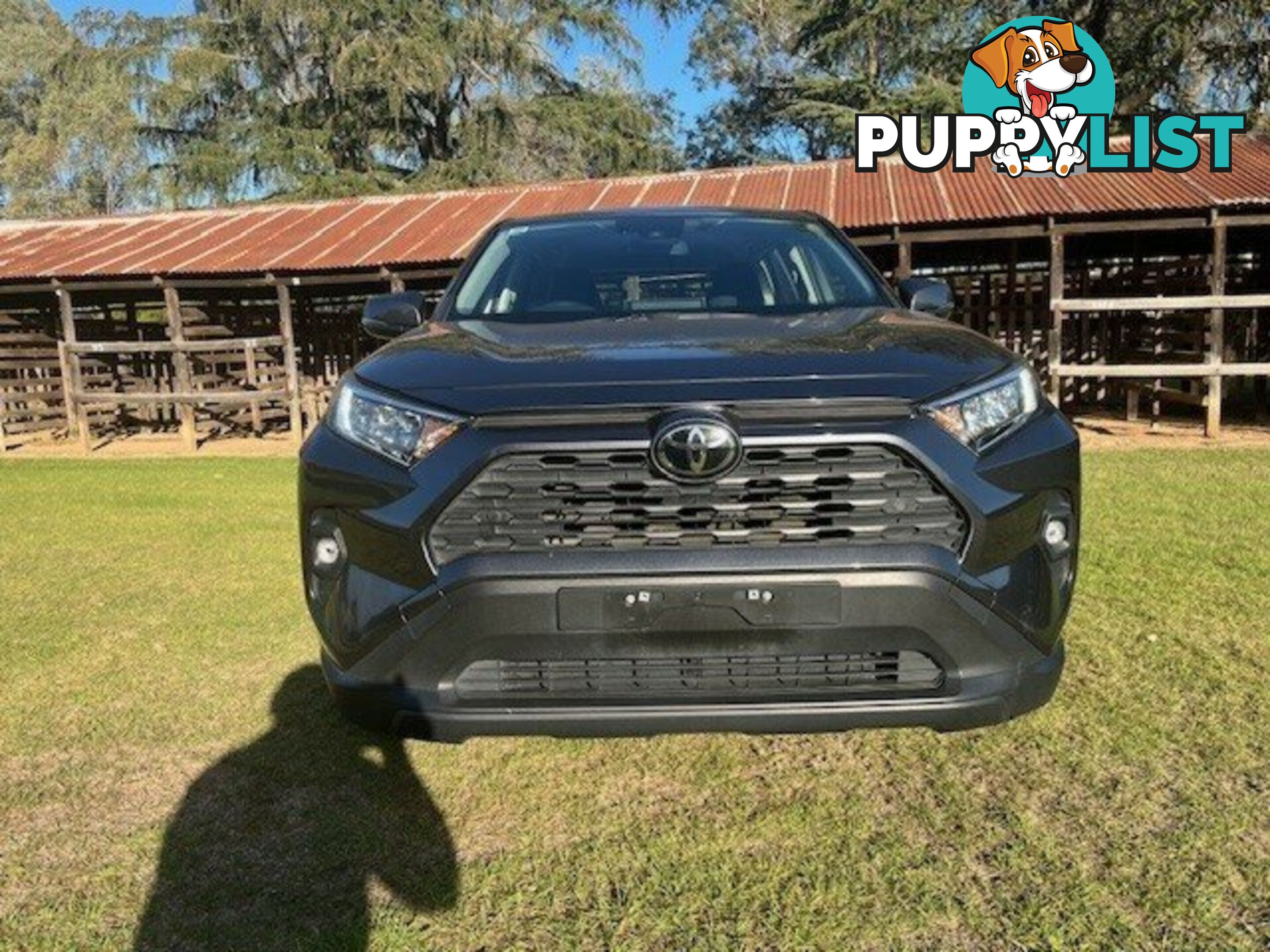 2023 TOYOTA RAV4  GX WAGON