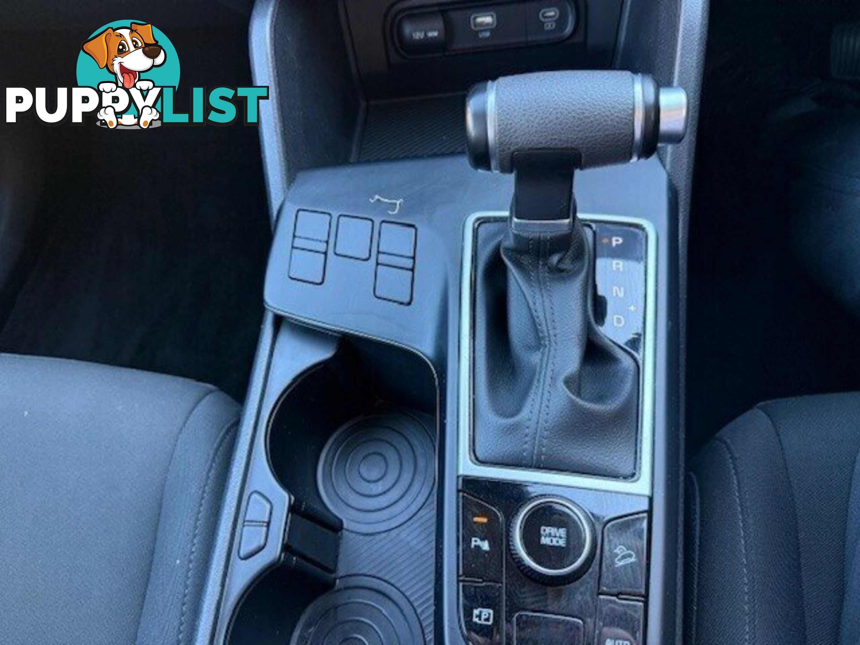 2022 KIA SPORTAGE NQ5 MY22 S (FWD) WAGON