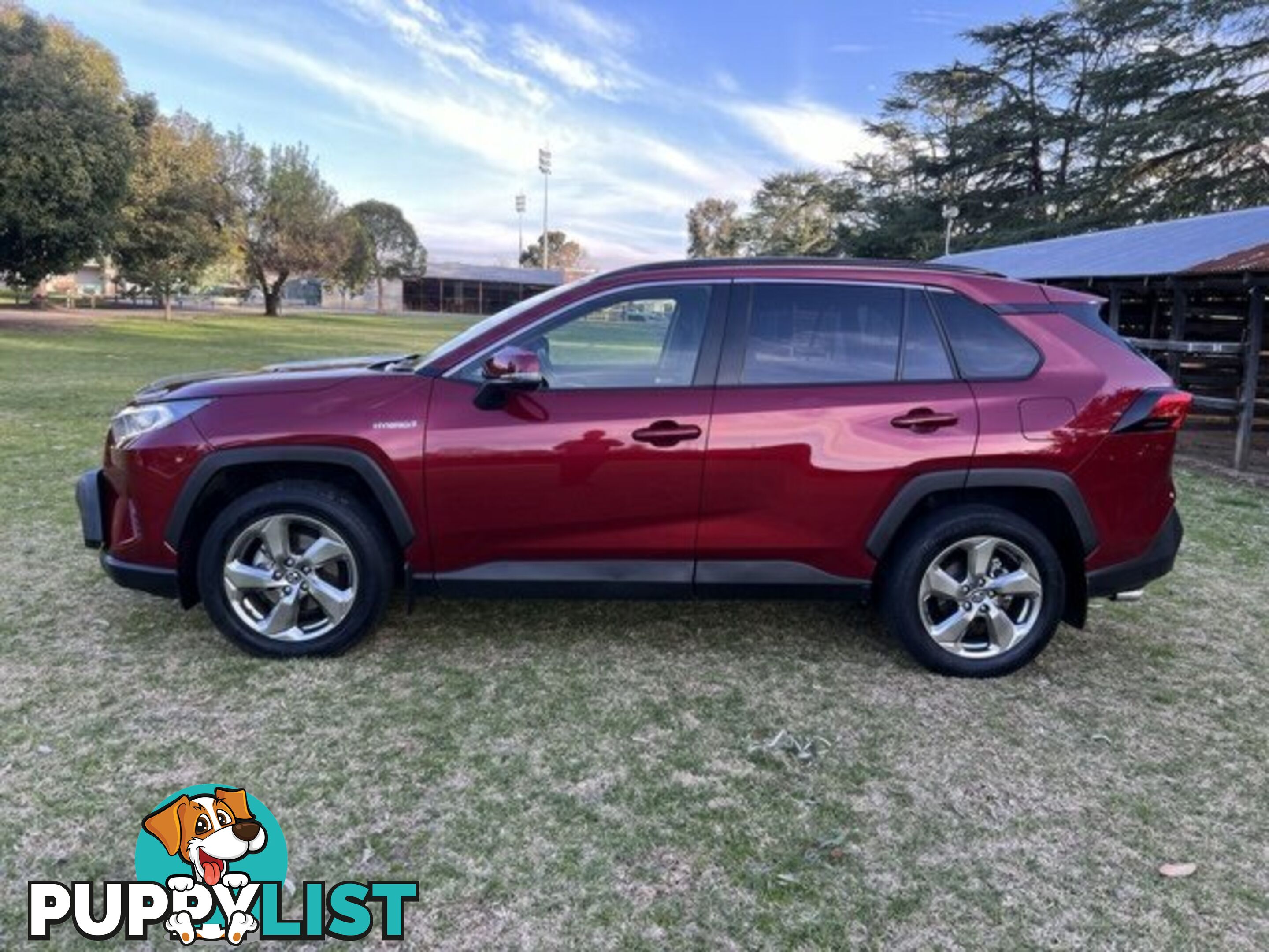 2019 TOYOTA RAV4  GXL WAGON