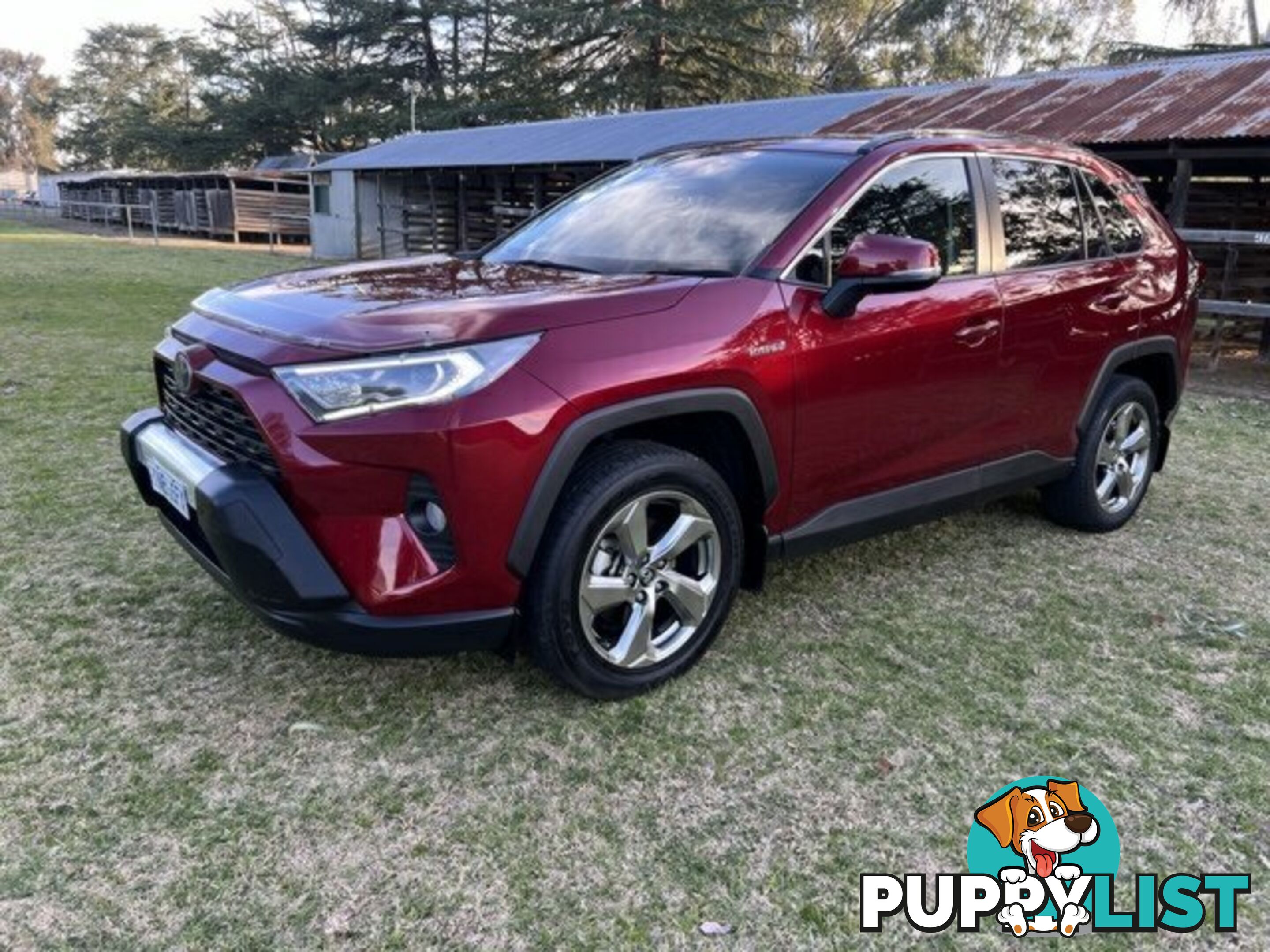 2019 TOYOTA RAV4  GXL WAGON