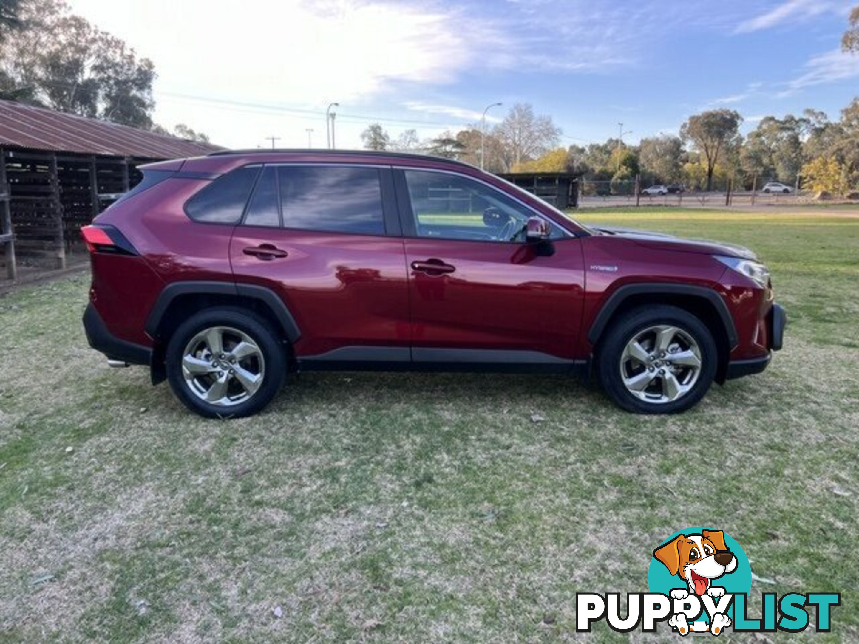 2019 TOYOTA RAV4  GXL WAGON