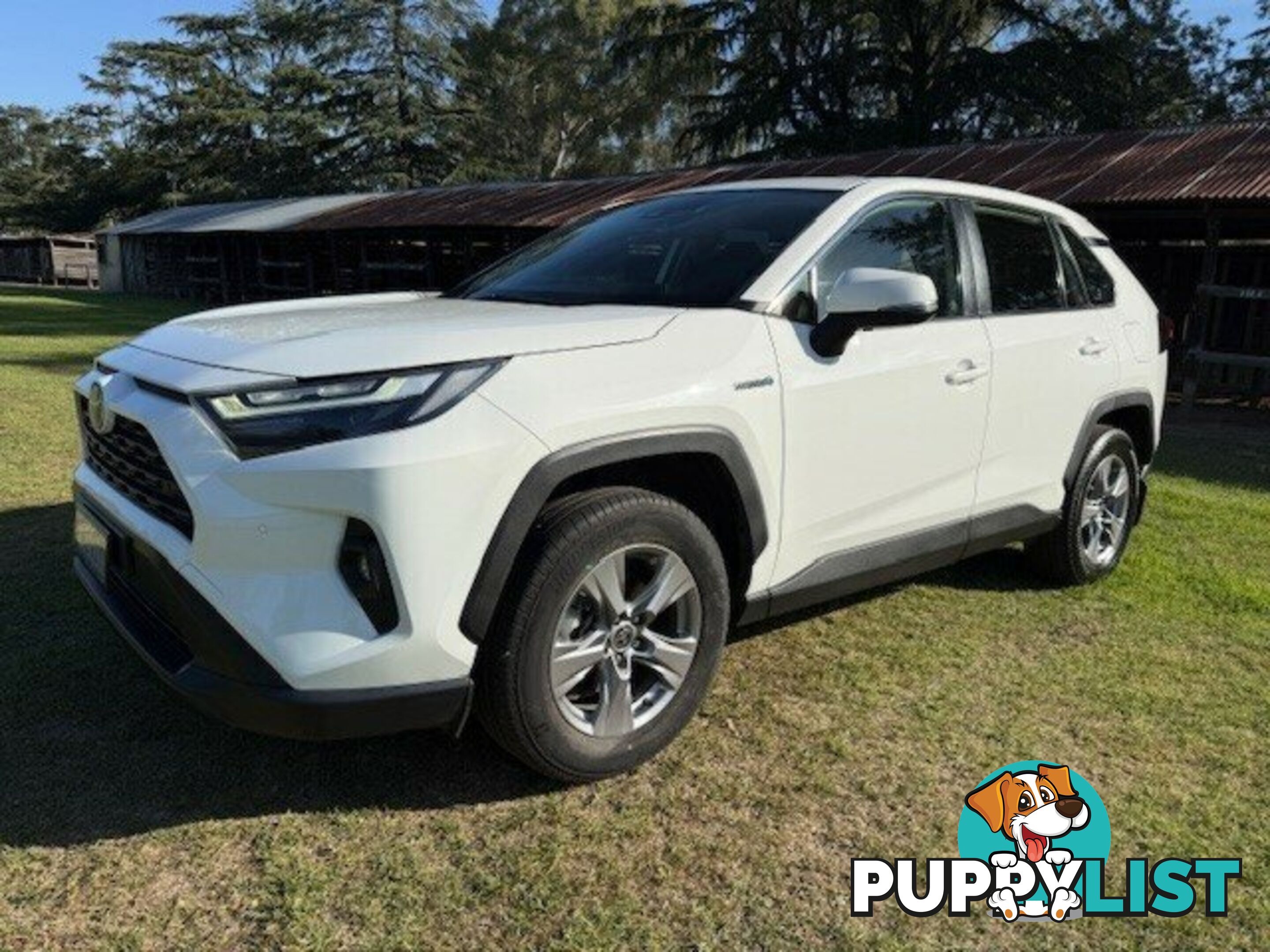 2022 TOYOTA RAV4   WAGON