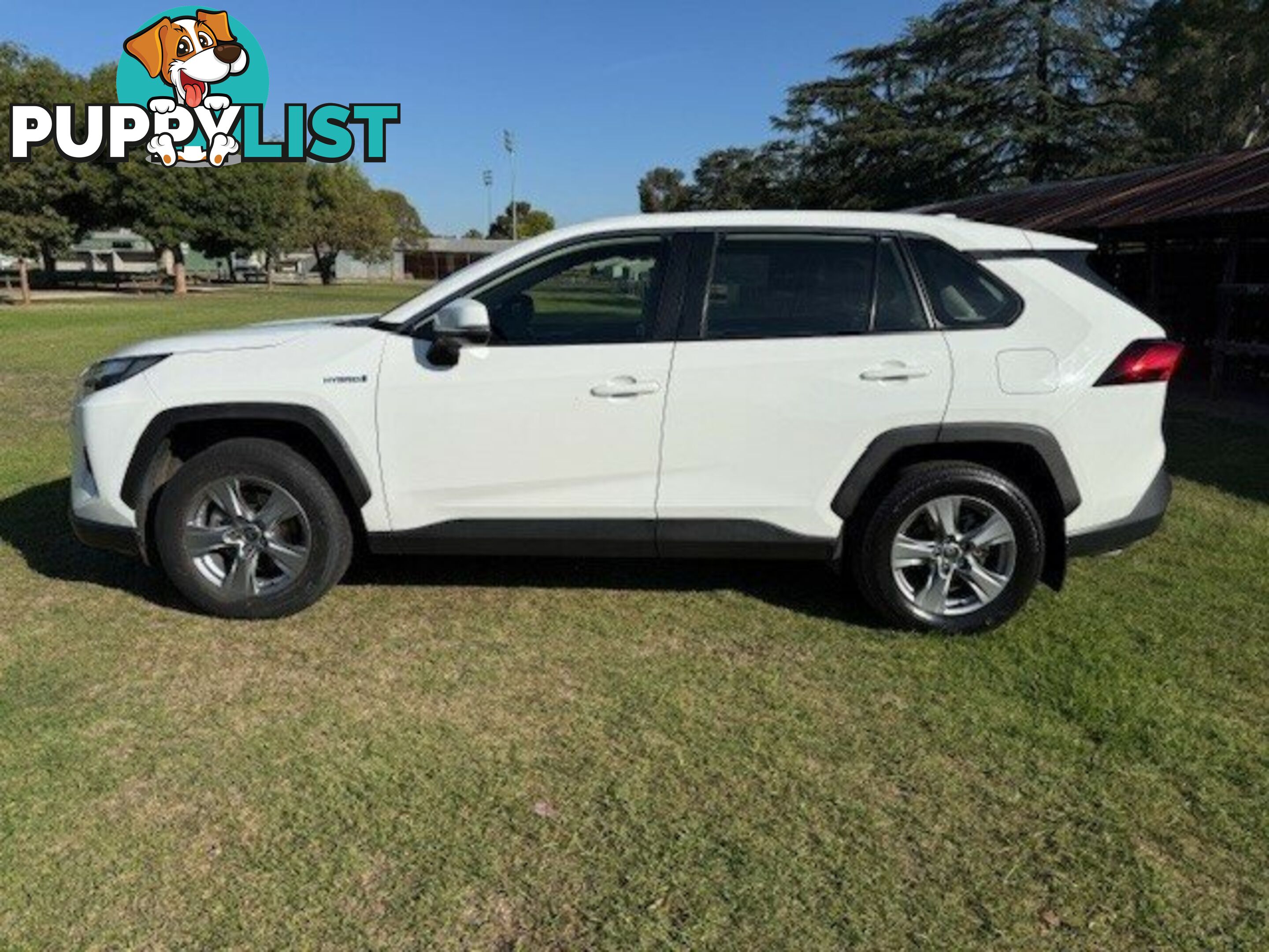 2022 TOYOTA RAV4   WAGON