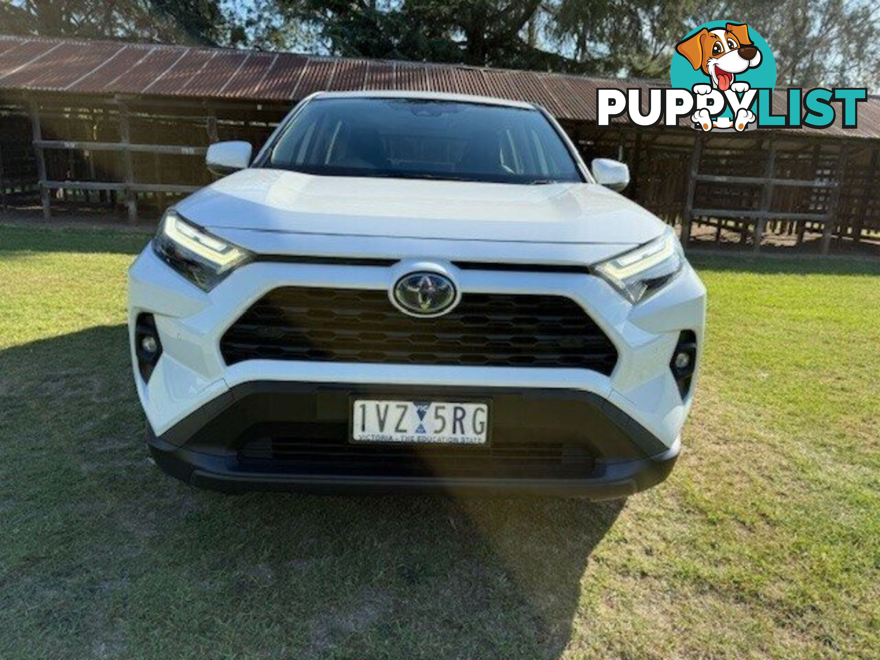 2022 TOYOTA RAV4   WAGON