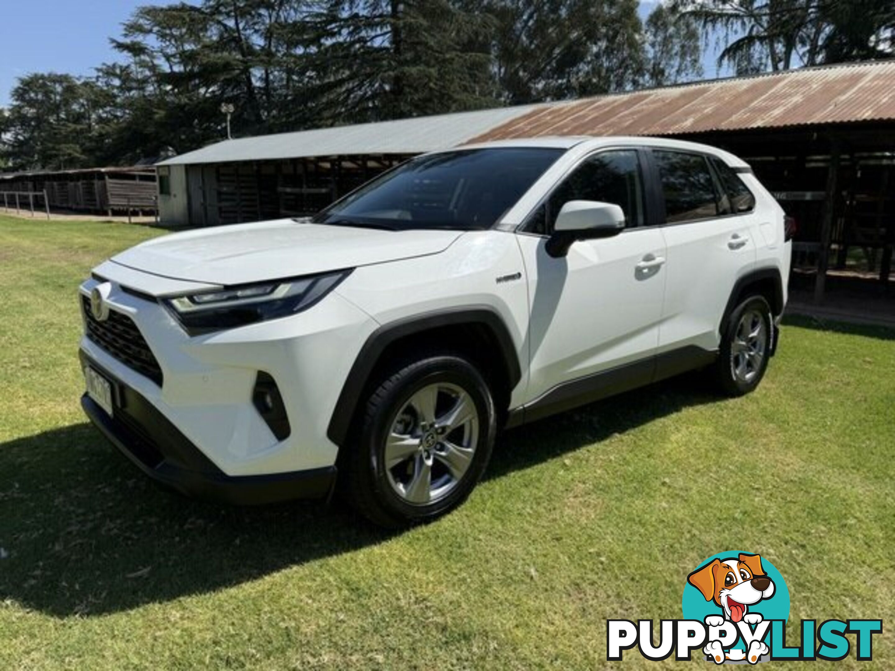 2022 TOYOTA RAV4   WAGON