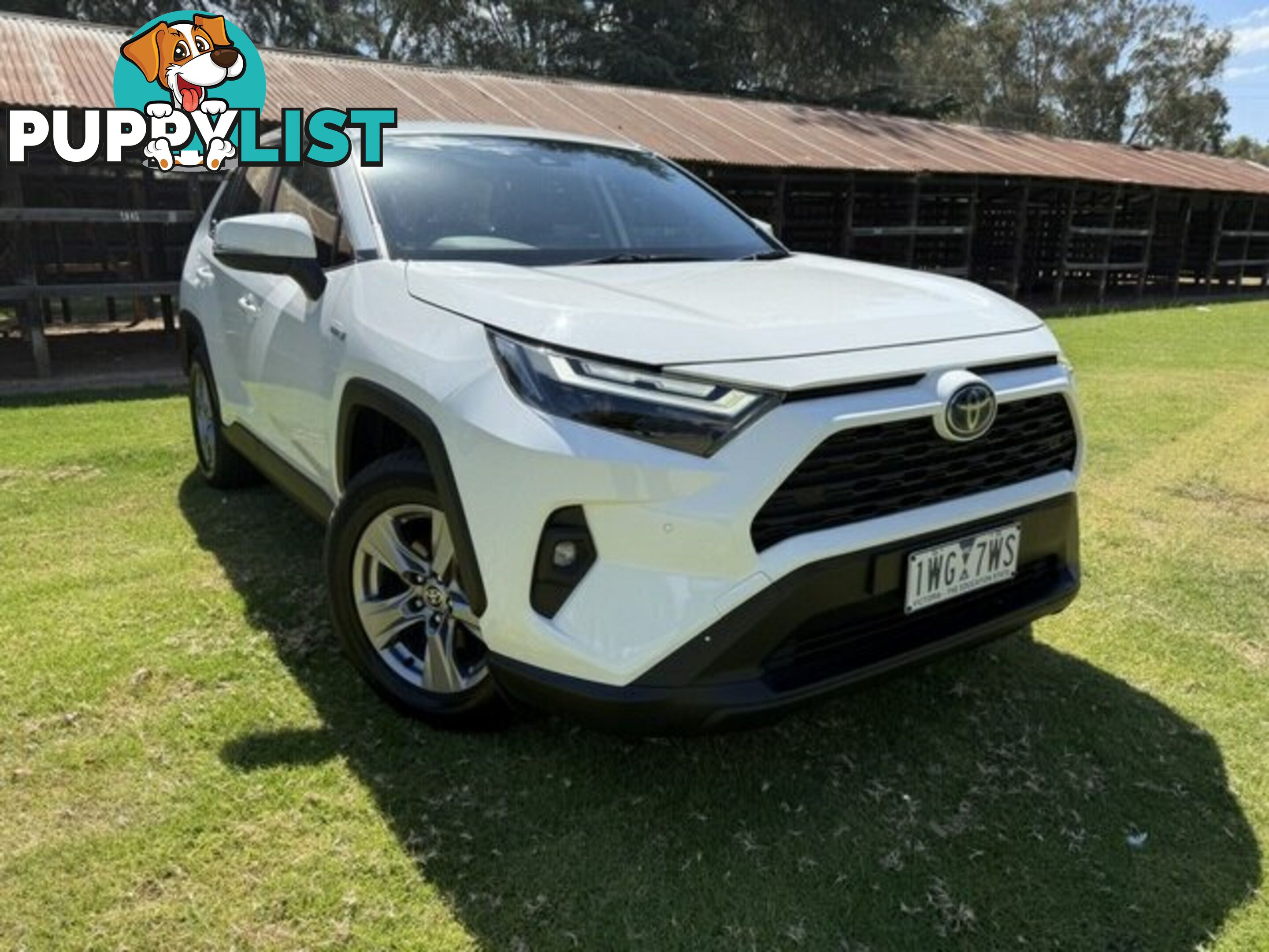 2022 TOYOTA RAV4   WAGON