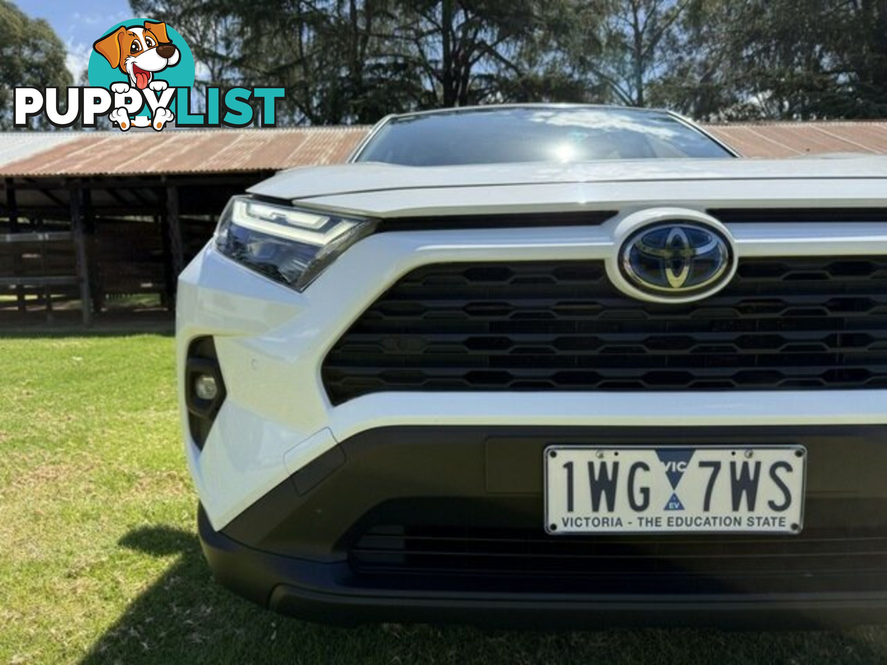 2022 TOYOTA RAV4   WAGON