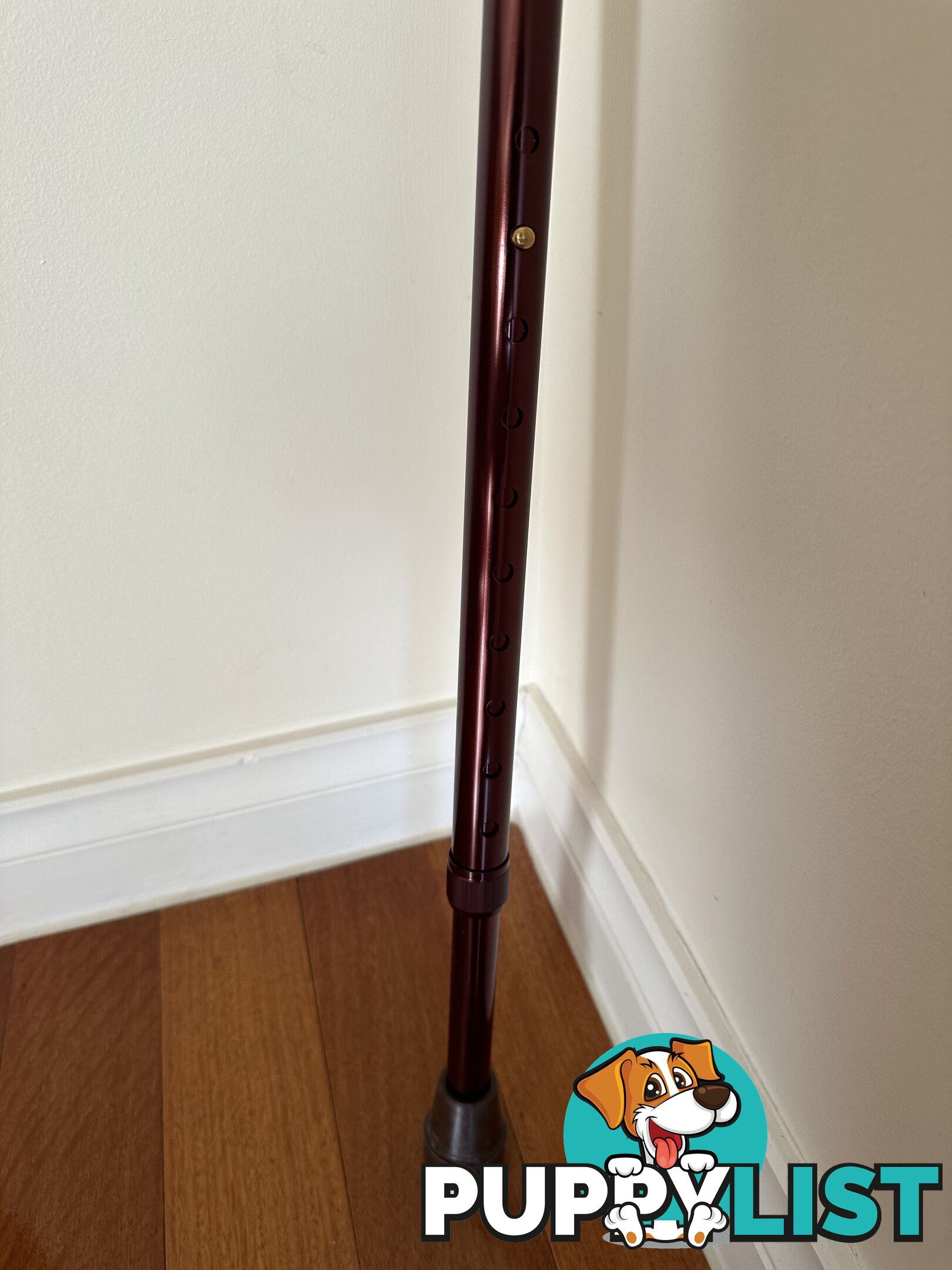 Adjustable Walking Cane – Aluminium