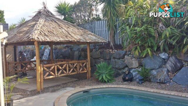 BALI HUT 2.5m x 3m - with 3 sides, includes benches and table