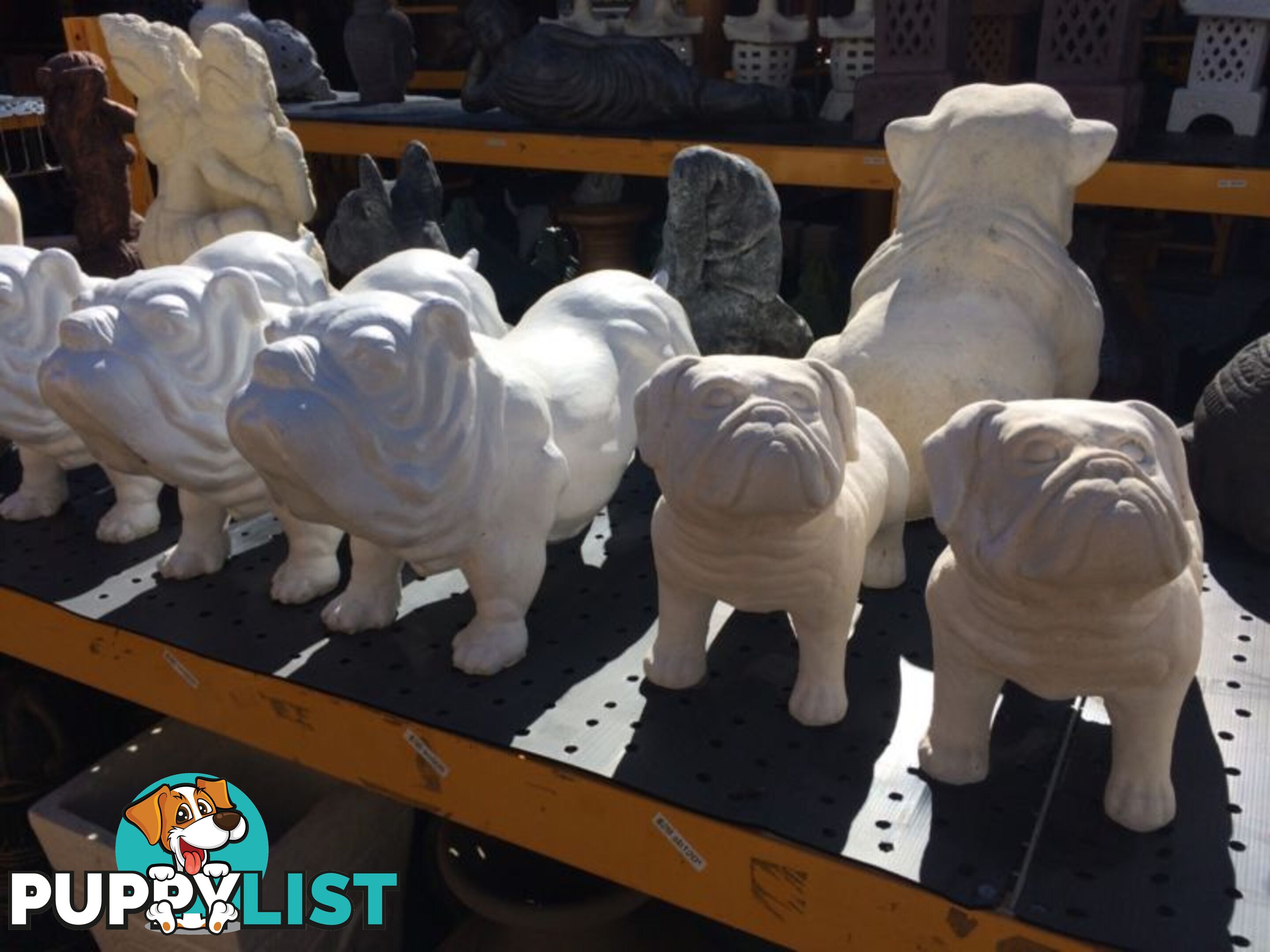 STATUE ANIMAL STANDING BULLDOG 60x32x22cmÂ ( WHT)