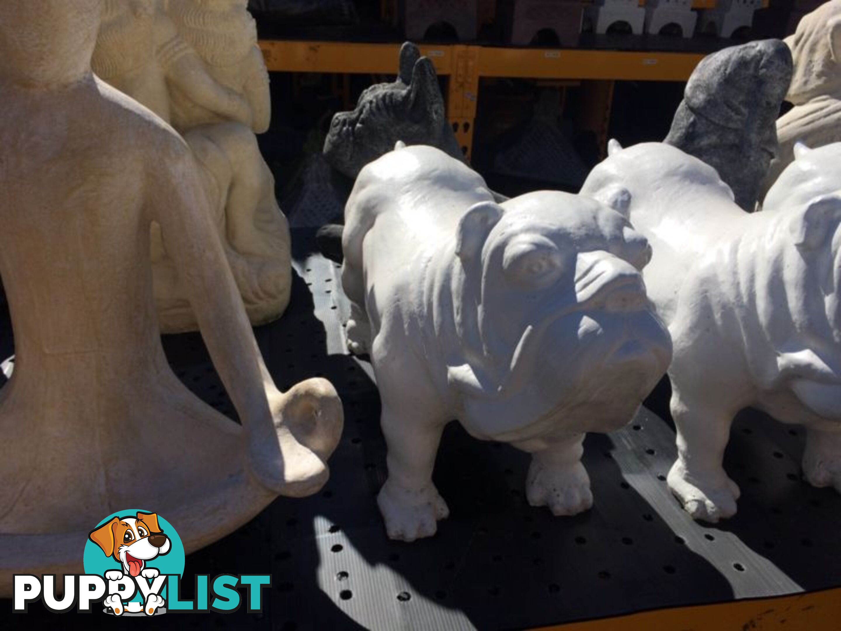 STATUE ANIMAL STANDING BULLDOG 60x32x22cmÂ ( WHT)