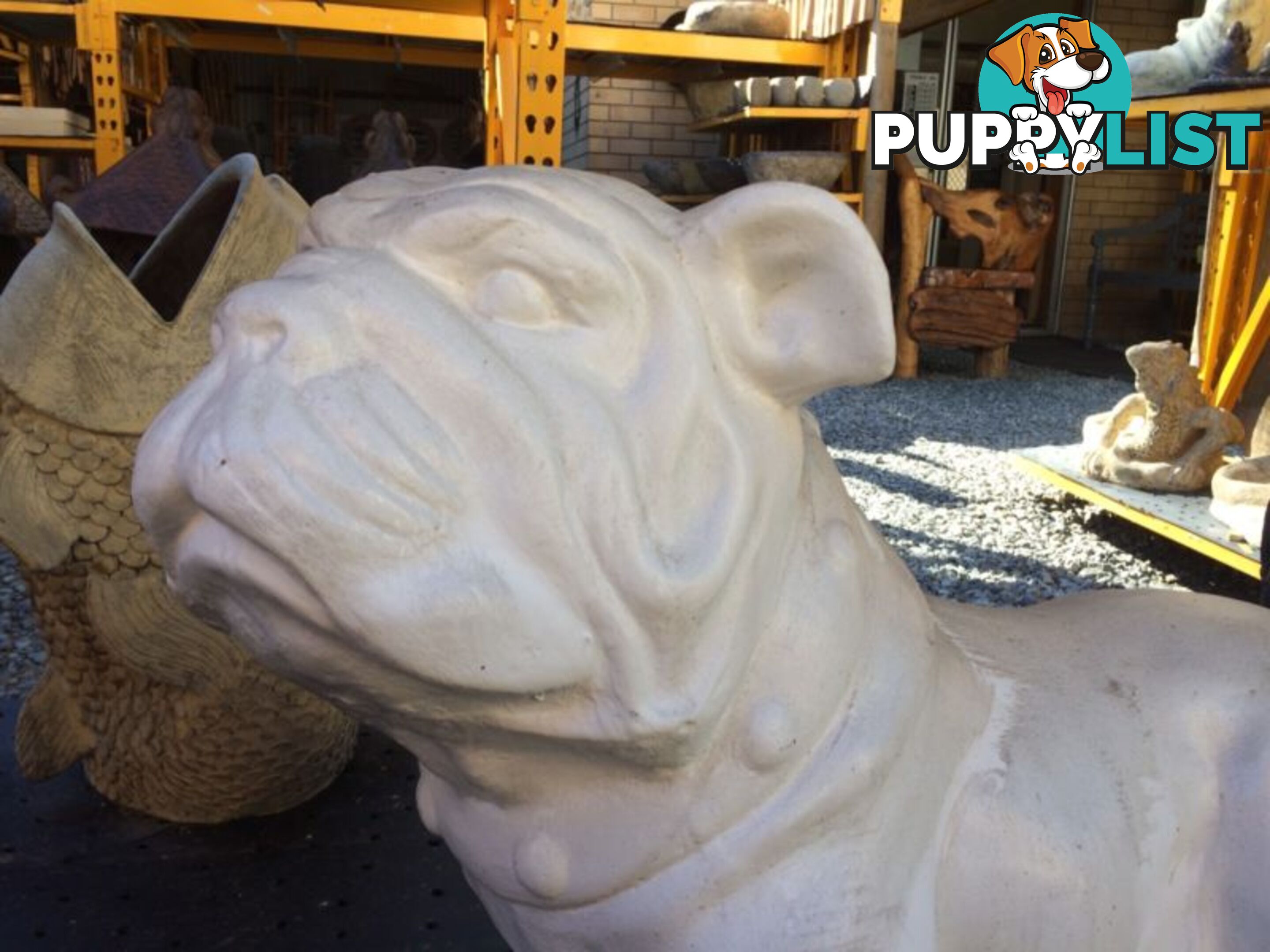 BULLDOG STATUE BIG(WHITE)