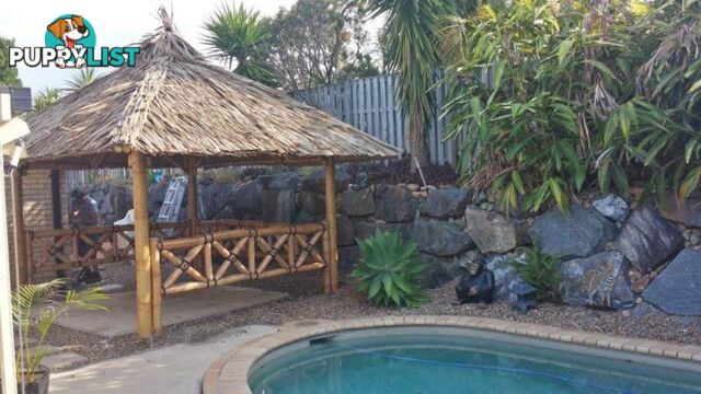 BALI HUT 3m x 3.5m with 3 sides