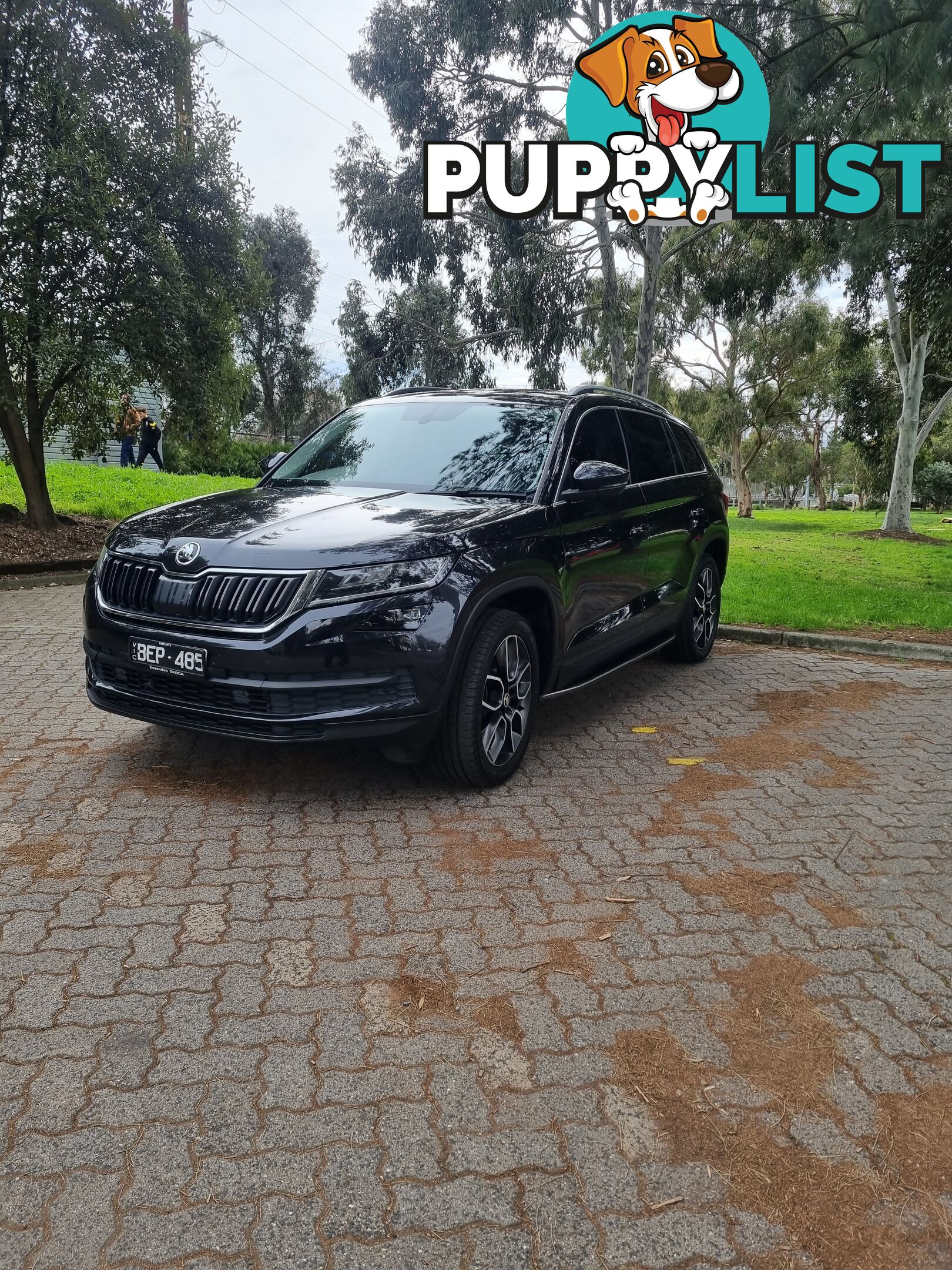 2019 SKODA Kodiaq NS-MY19-4X4 132TSI SUV Automatic