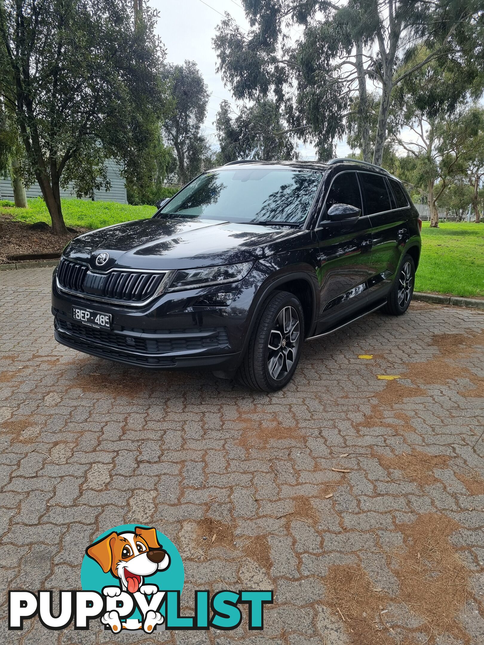 2019 SKODA Kodiaq NS-MY19-4X4 132TSI SUV Automatic