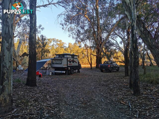 2022 Austrack Campers Tanami X11