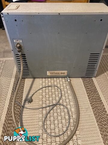 Rinnai Natural Gas heater