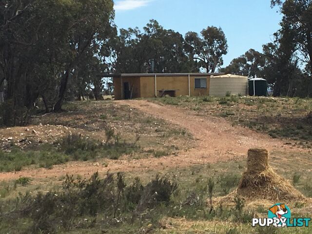 116 Golden Plains Drive QUIALIGO NSW 2580