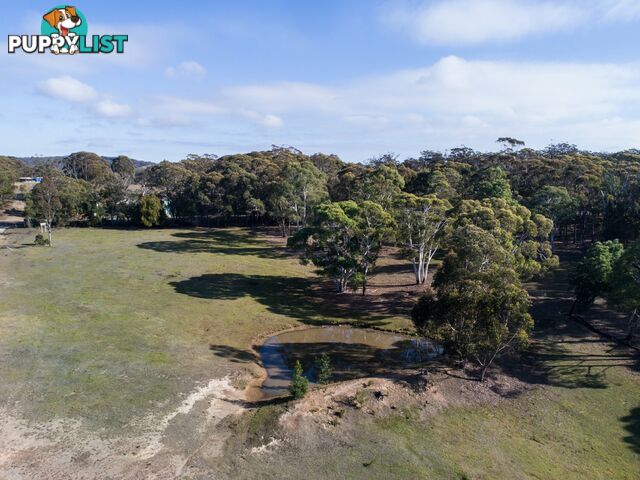 19 Old Macquarie Road BRAYTON NSW 2579