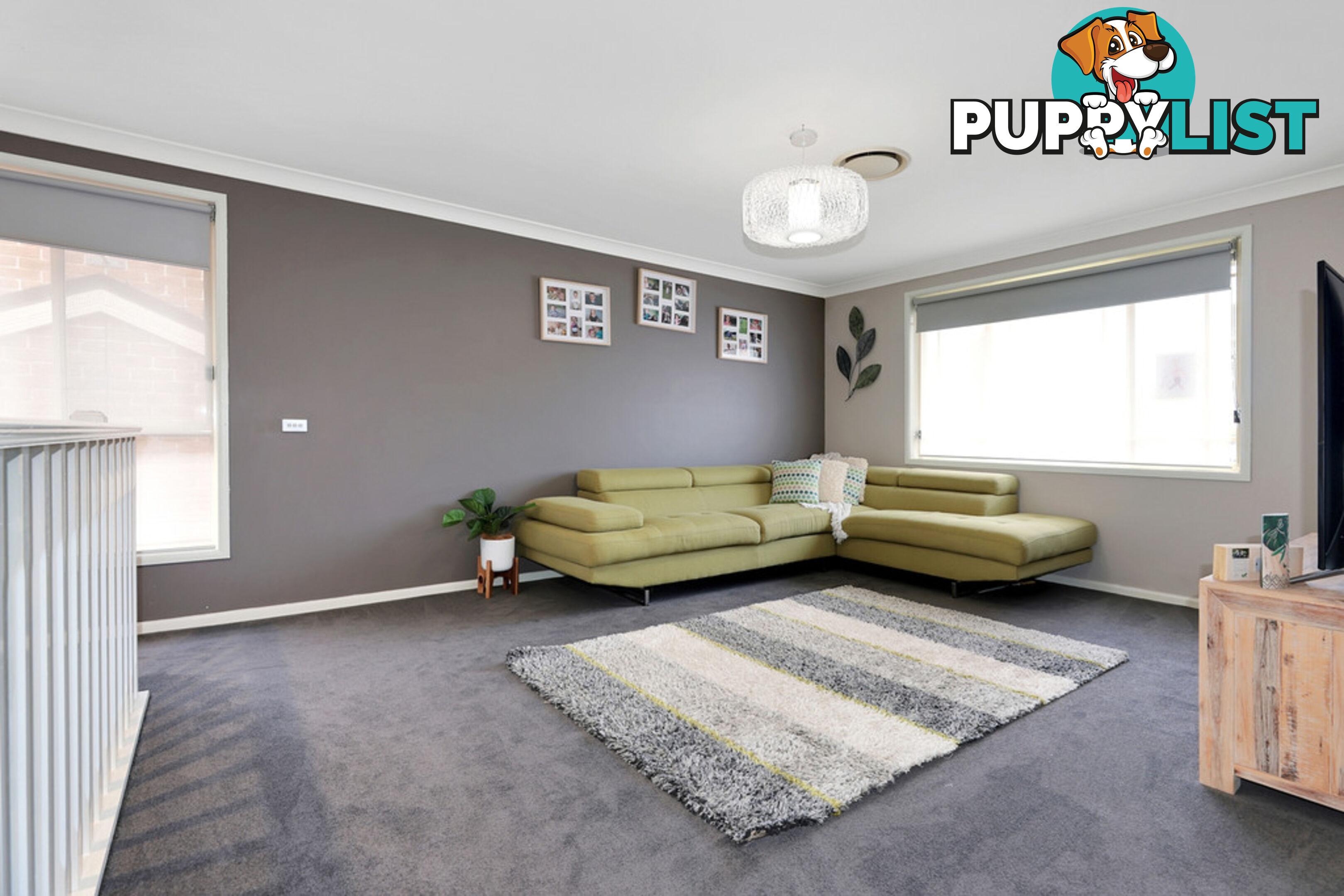 41 Waterford Way GLENMORE PARK NSW 2745