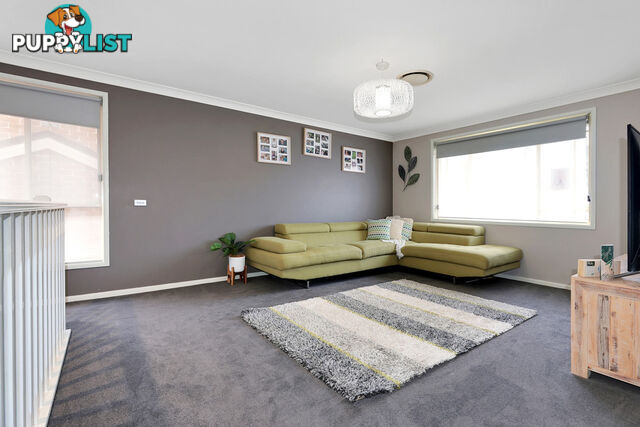 41 Waterford Way GLENMORE PARK NSW 2745