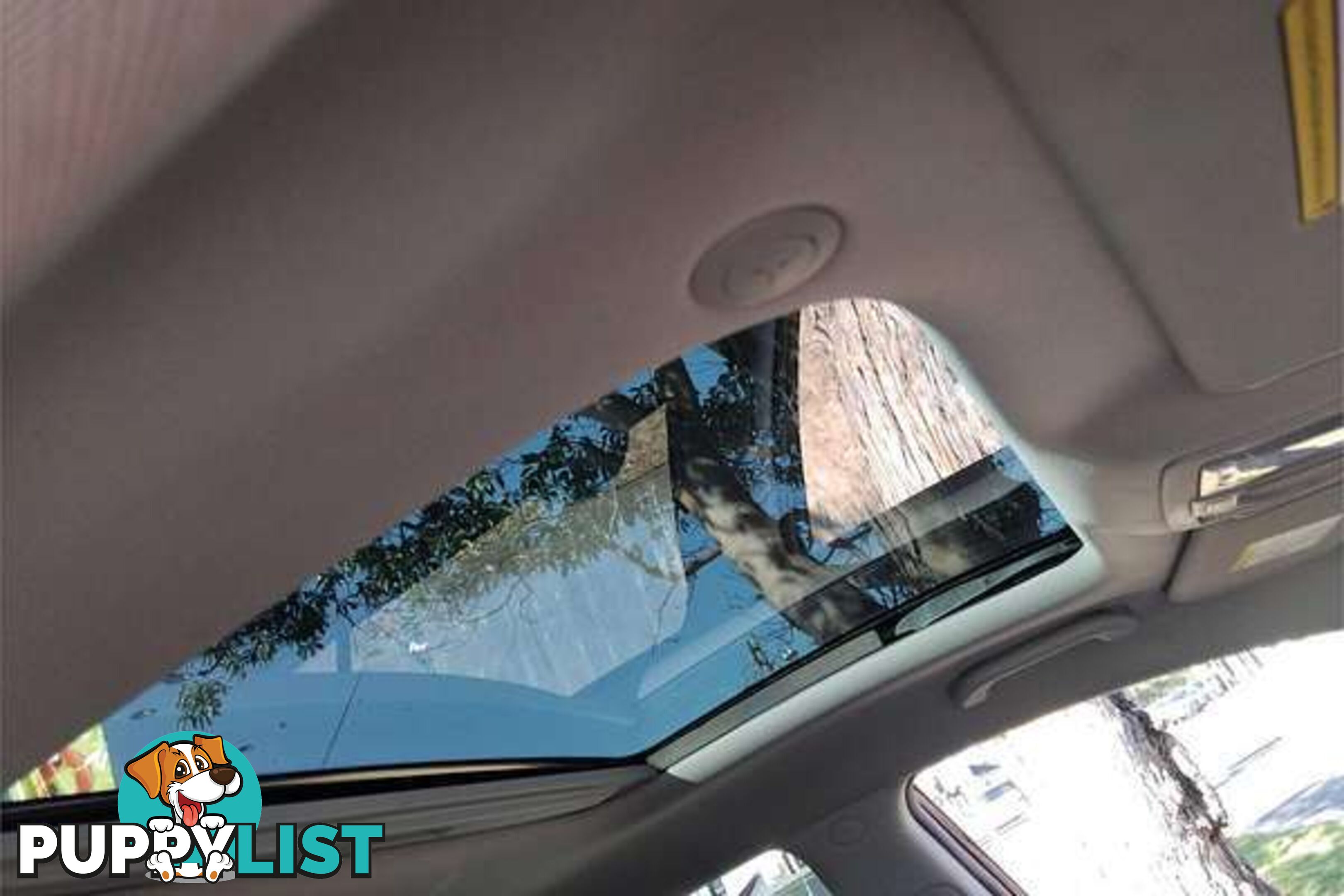 2011 KIA SPORTAGE PLATINUM SL WAGON