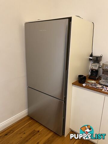 Fisher & Paykel Stainless Steel Fridge Freezer - series 5 494L Bottom Mount