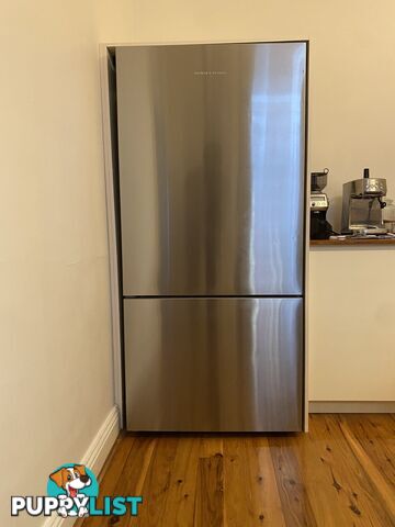 Fisher & Paykel Stainless Steel Fridge Freezer - series 5 494L Bottom Mount