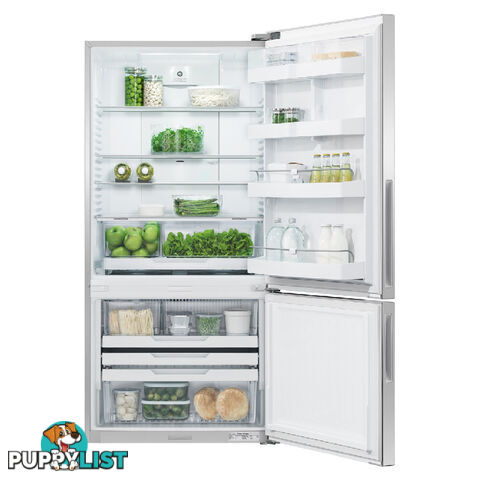 Fisher & Paykel Stainless Steel Fridge Freezer - series 5 494L Bottom Mount