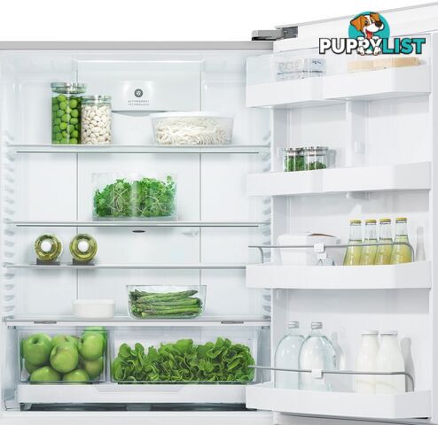 Fisher & Paykel Stainless Steel Fridge Freezer - series 5 494L Bottom Mount