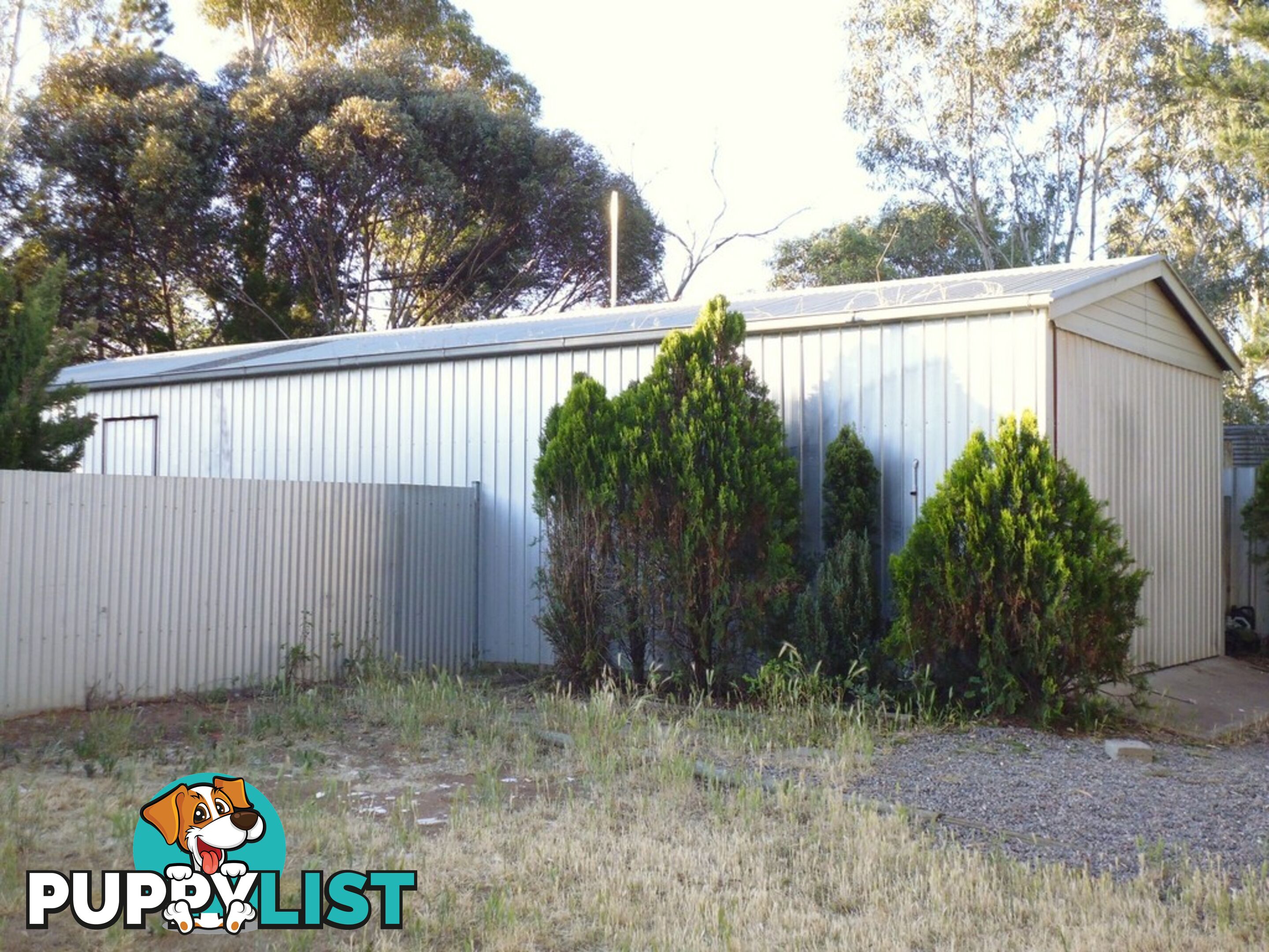 11 Randall Street MANNUM SA 5238