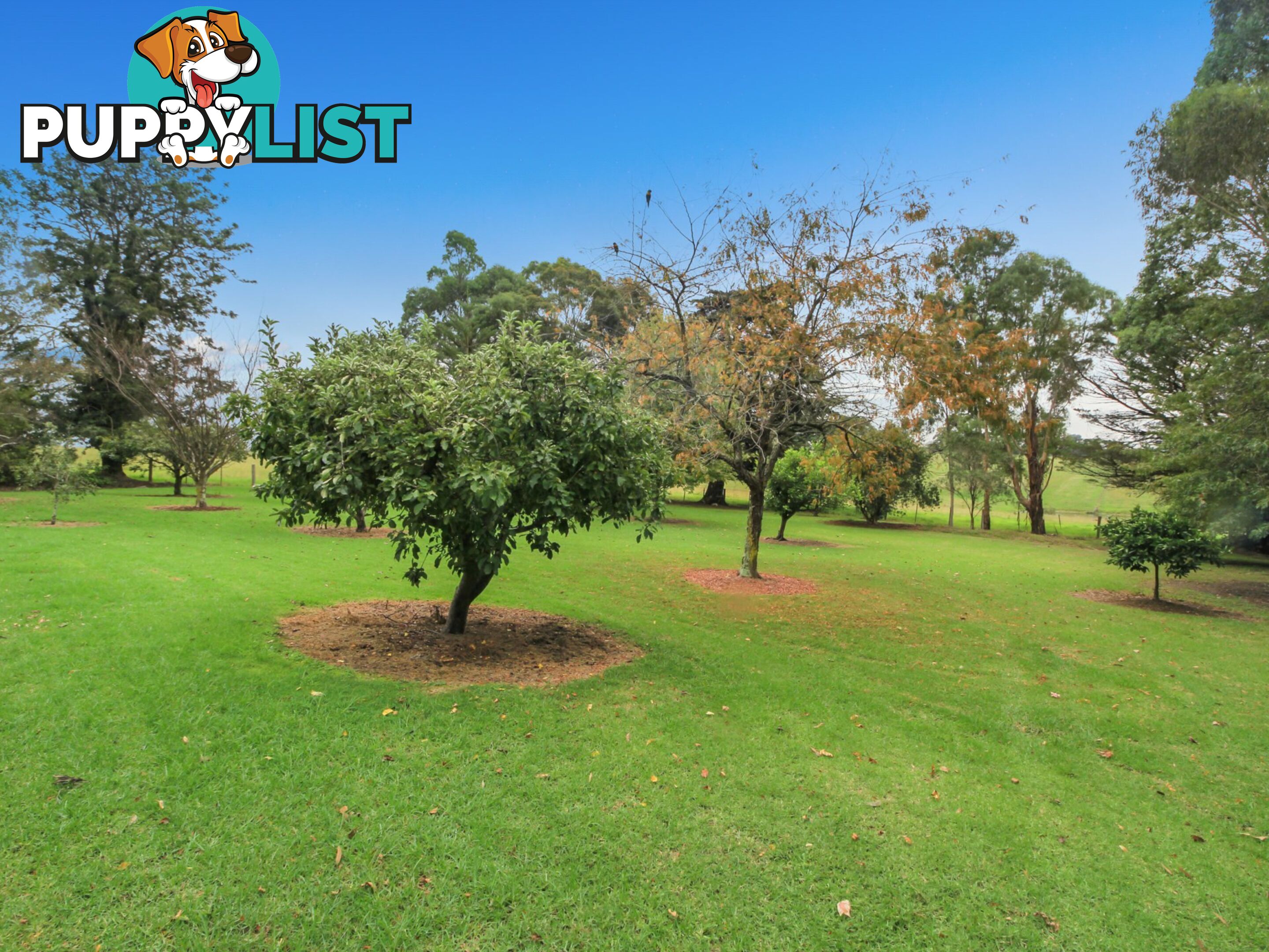 270 Wy Yung Calulu Road ELLASWOOD VIC 3875