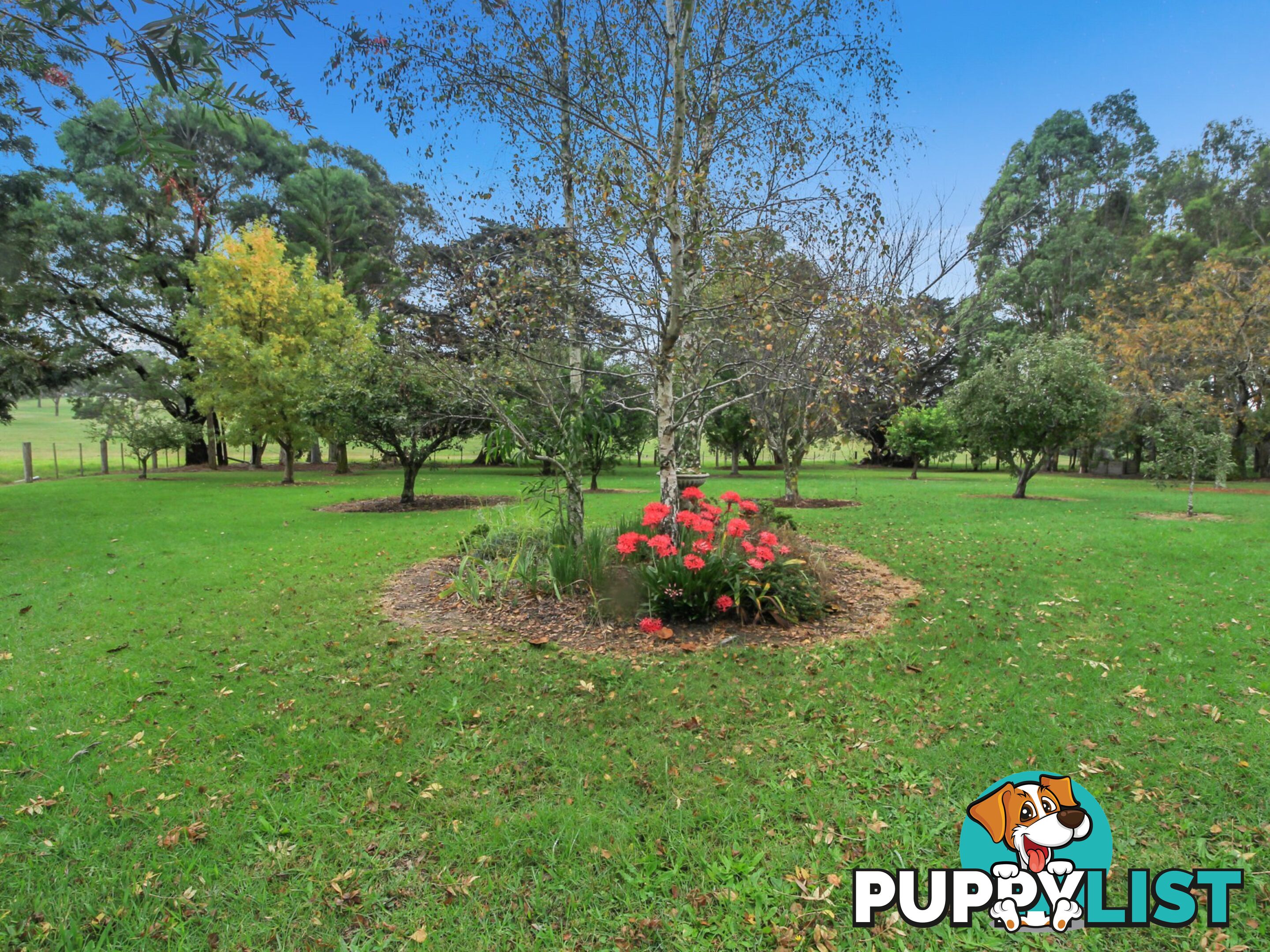 270 Wy Yung Calulu Road ELLASWOOD VIC 3875