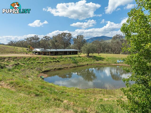 7415 Great Alpine Road SWIFTS CREEK VIC 3896