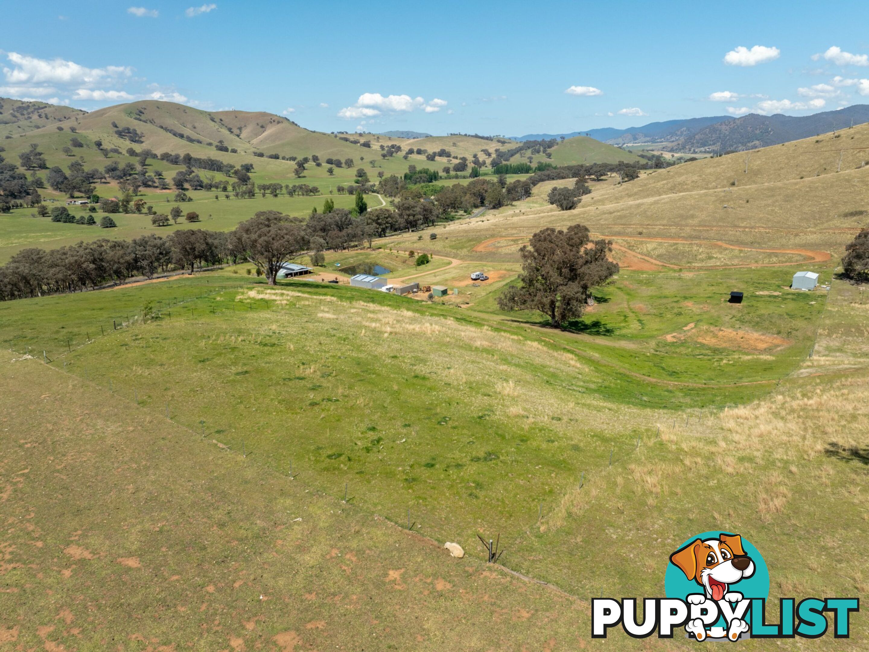 7415 Great Alpine Road SWIFTS CREEK VIC 3896