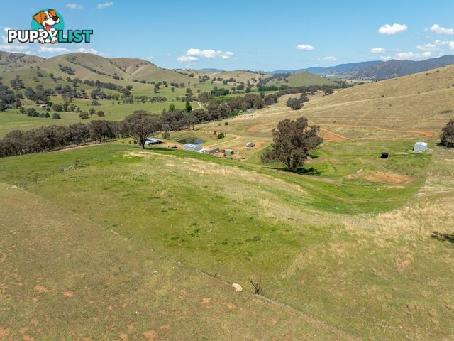 7415 Great Alpine Road SWIFTS CREEK VIC 3896