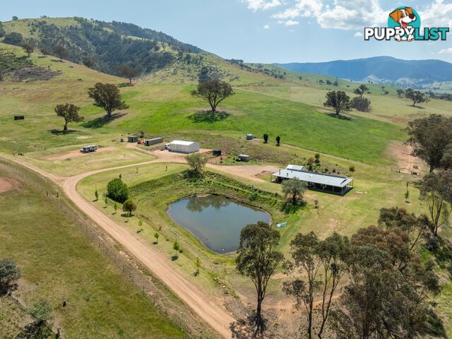 7415 Great Alpine Road SWIFTS CREEK VIC 3896