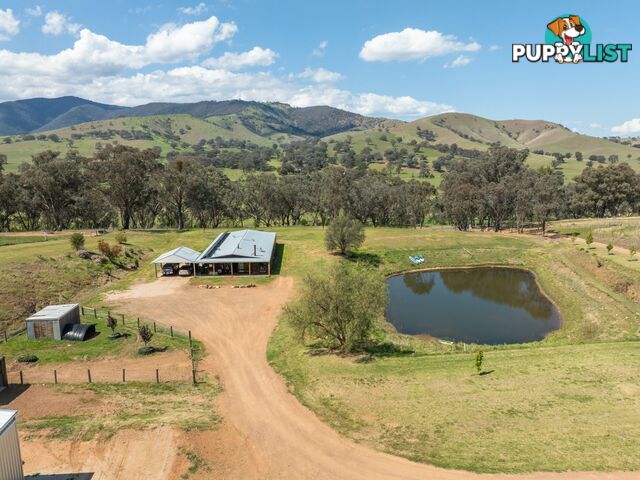 7415 Great Alpine Road SWIFTS CREEK VIC 3896